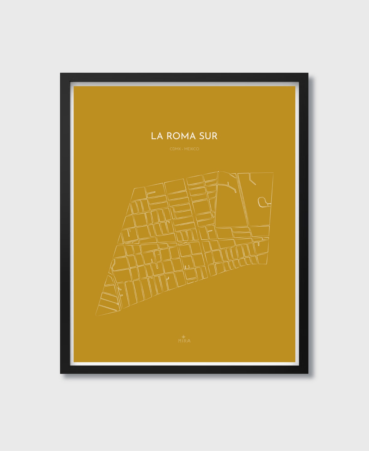 THE MAP - LA ROMA SUR - CDMX - MEXICO