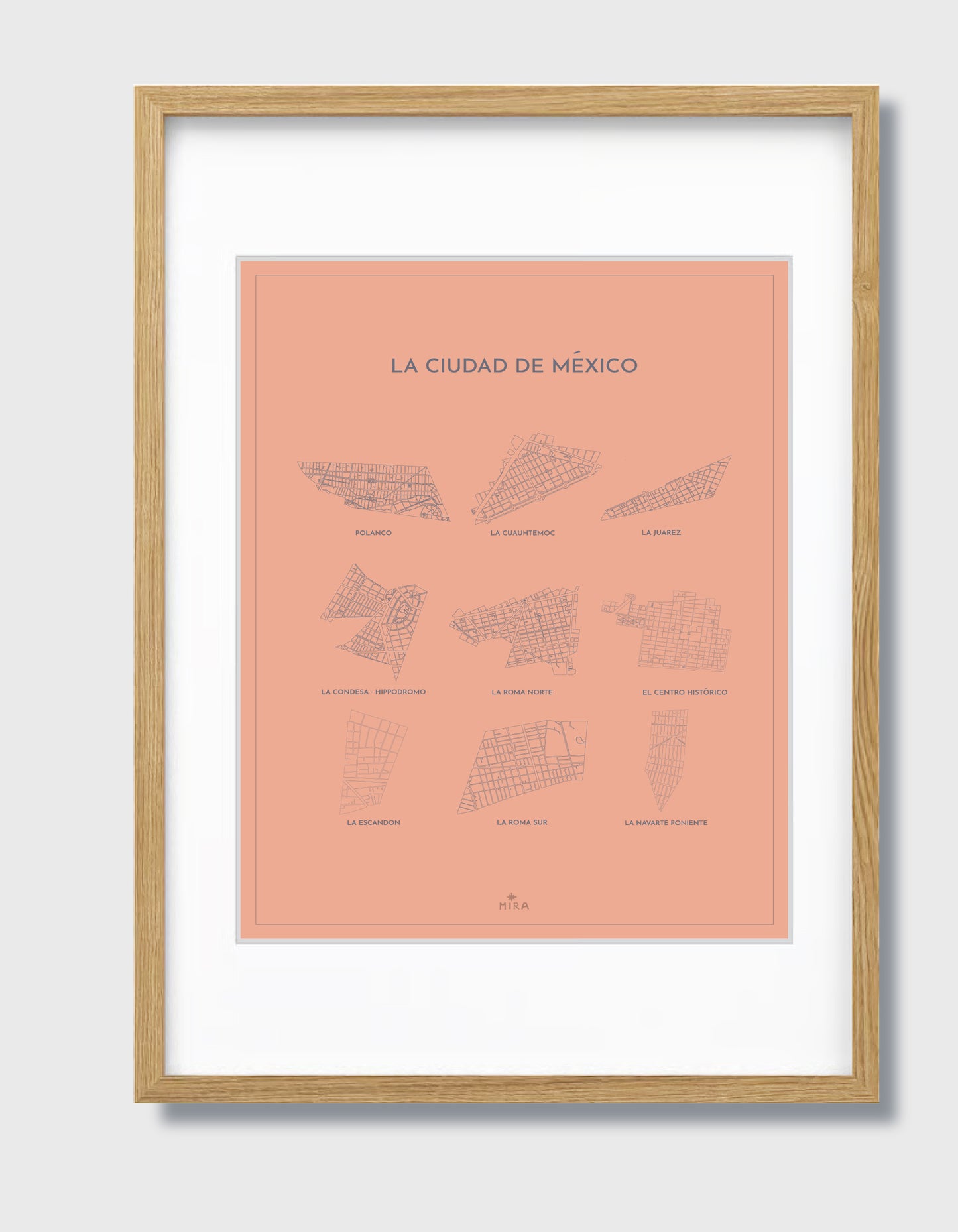 THE MAP - LA CIUDAD DE MEXICO