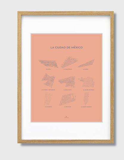 THE MAP - LA CIUDAD DE MEXICO