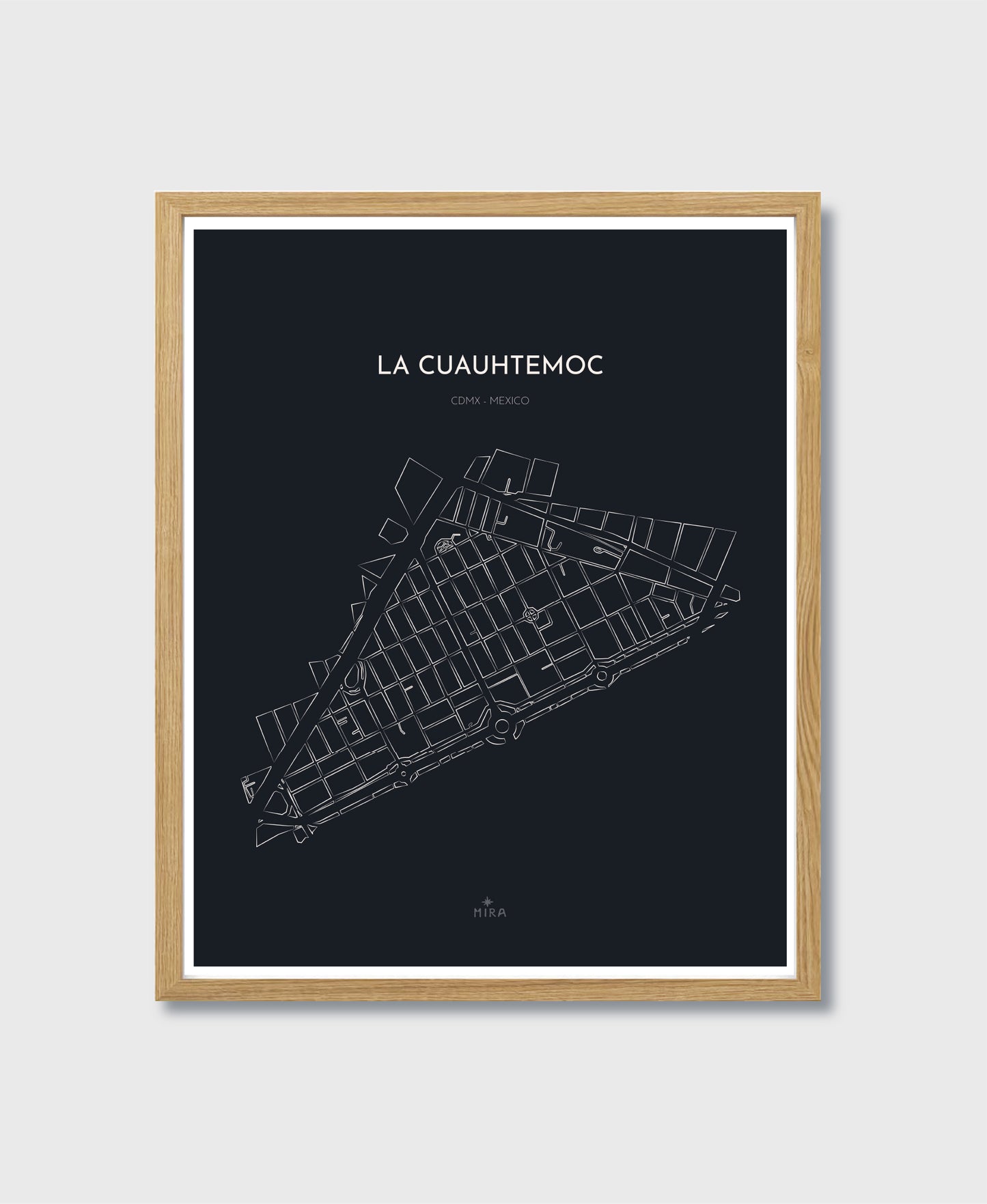 THE MAP - LA CUAUHTEMOC - CDMX - MEXICO