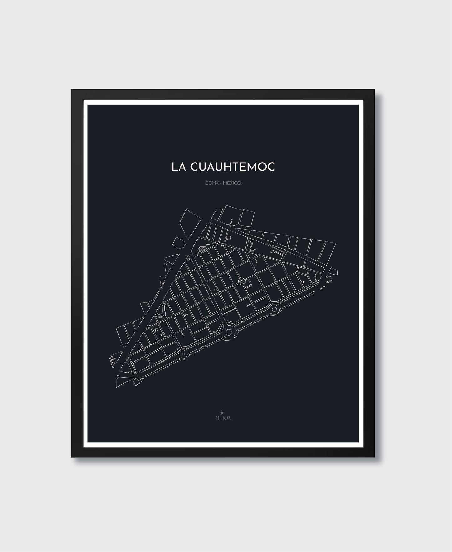 THE MAP - LA CUAUHTEMOC - CDMX - MEXICO