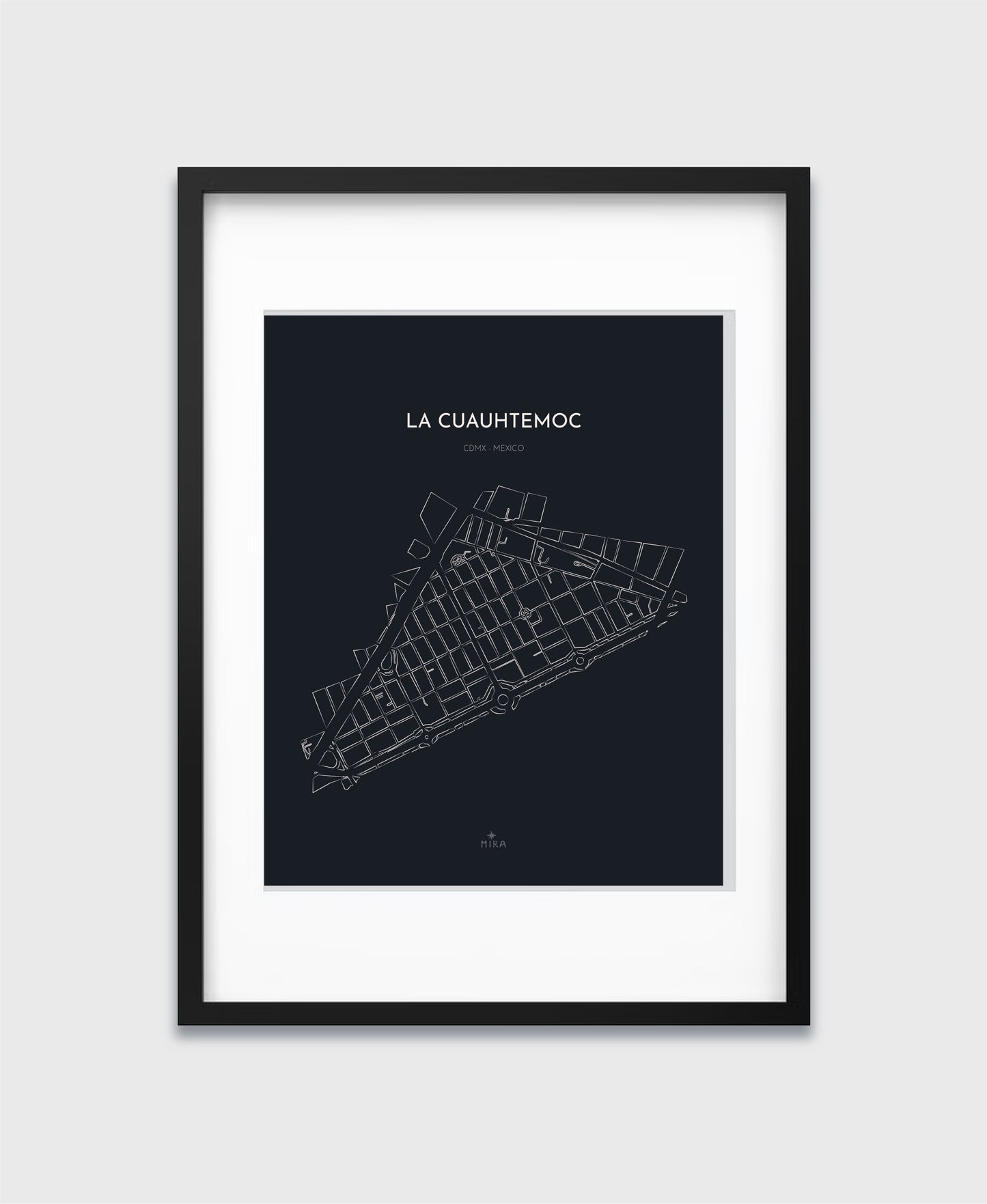 THE MAP - LA CUAUHTEMOC - CDMX - MEXICO