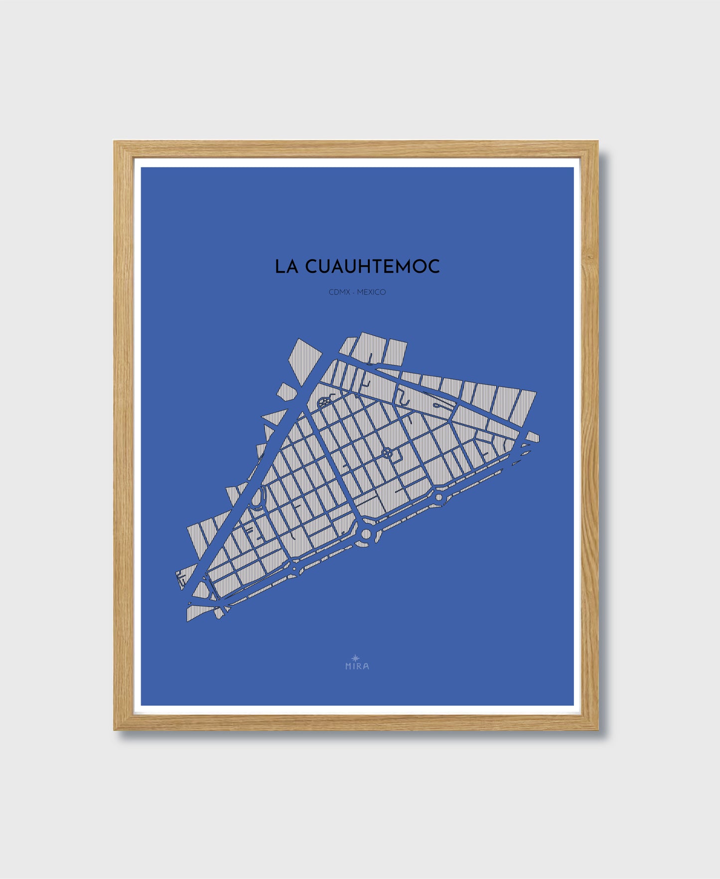 THE MAP - LA CUAUHTEMOC - CDMX - MEXICO
