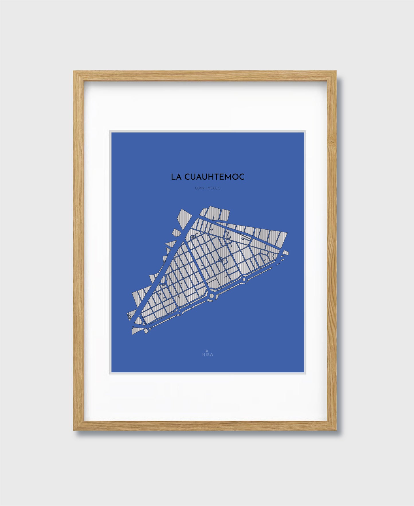THE MAP - LA CUAUHTEMOC - CDMX - MEXICO