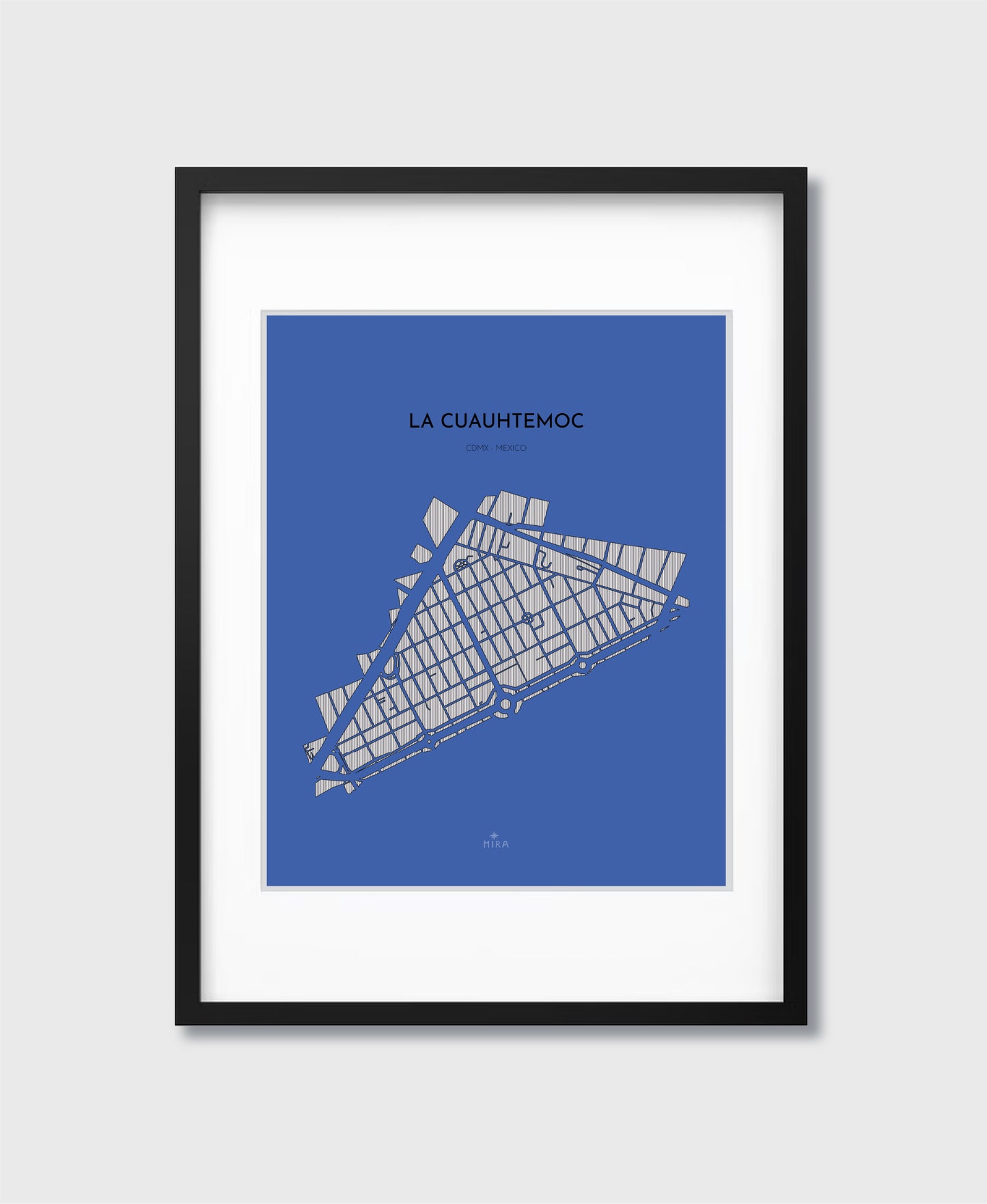 THE MAP - LA CUAUHTEMOC - CDMX - MEXICO