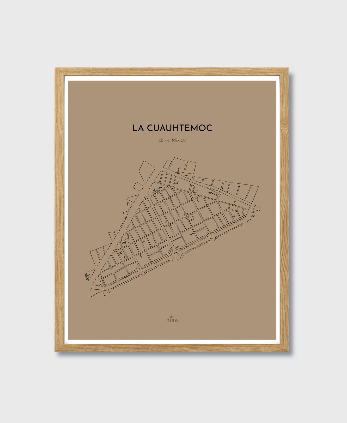 THE MAP - LA CUAUHTEMOC - CDMX - MEXICO