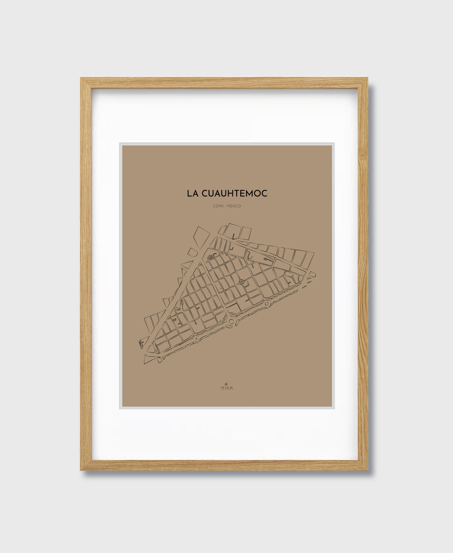 THE MAP - LA CUAUHTEMOC - CDMX - MEXICO
