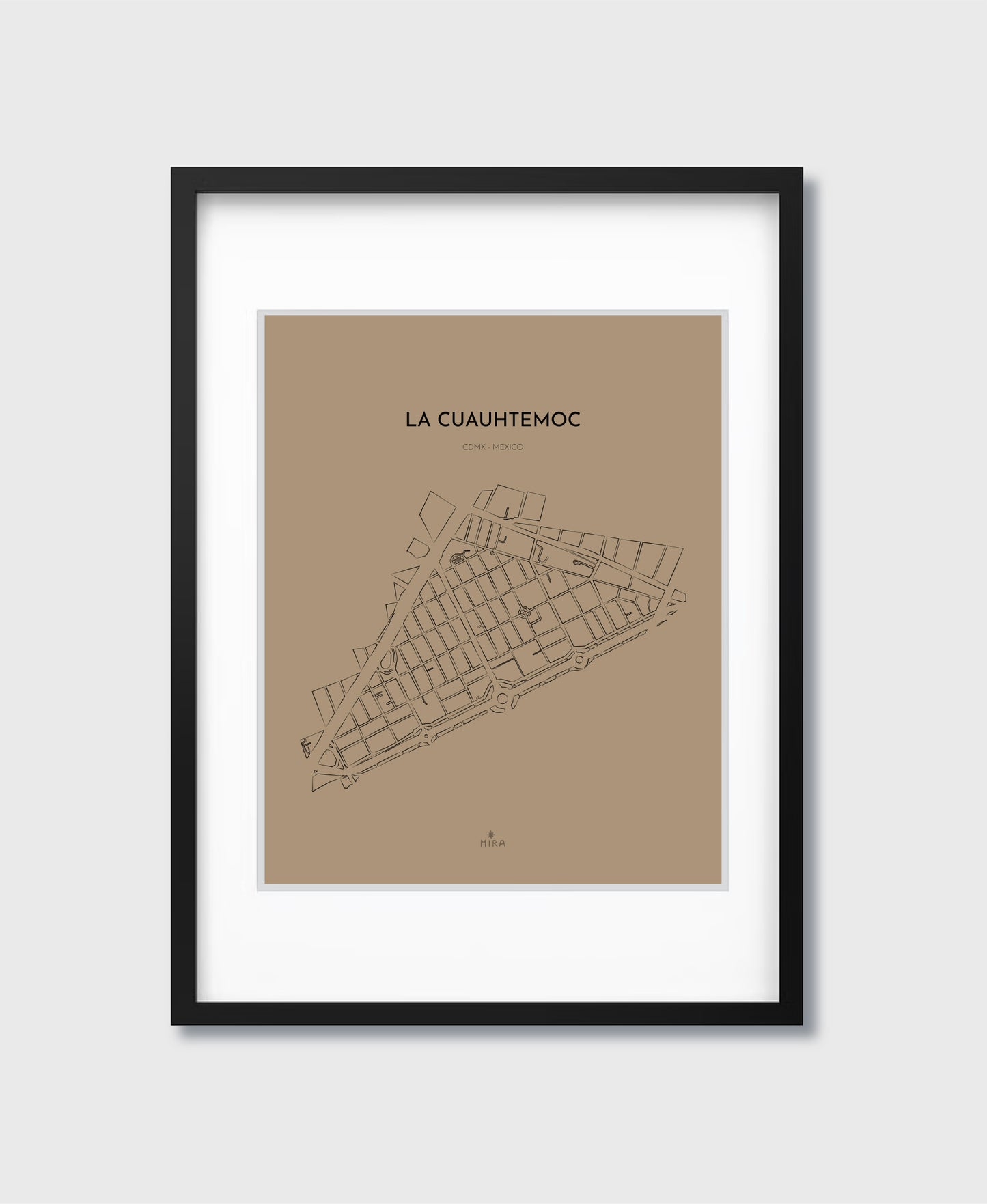 THE MAP - LA CUAUHTEMOC - CDMX - MEXICO