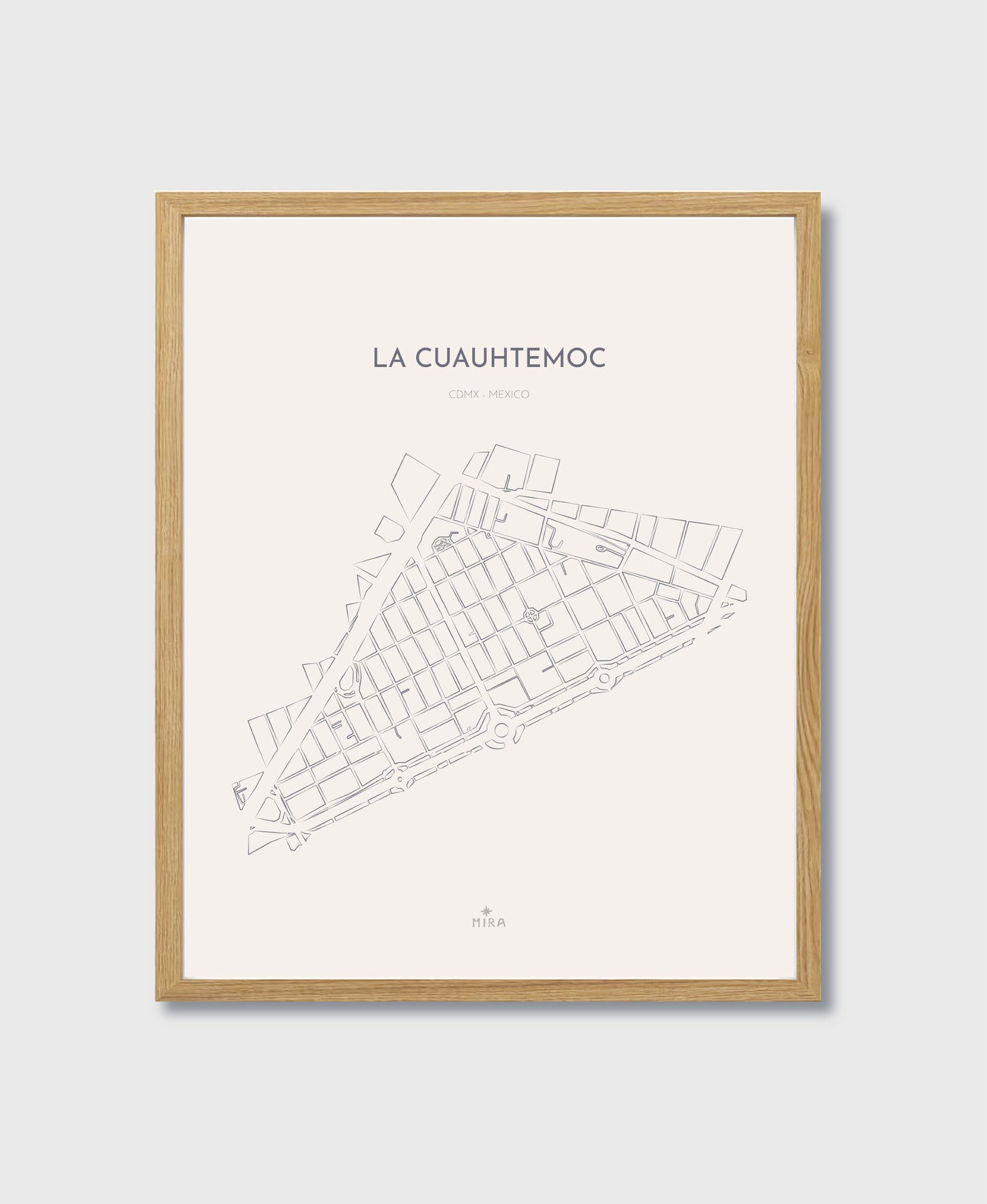 THE MAP - LA CUAUHTEMOC - CDMX - MEXICO