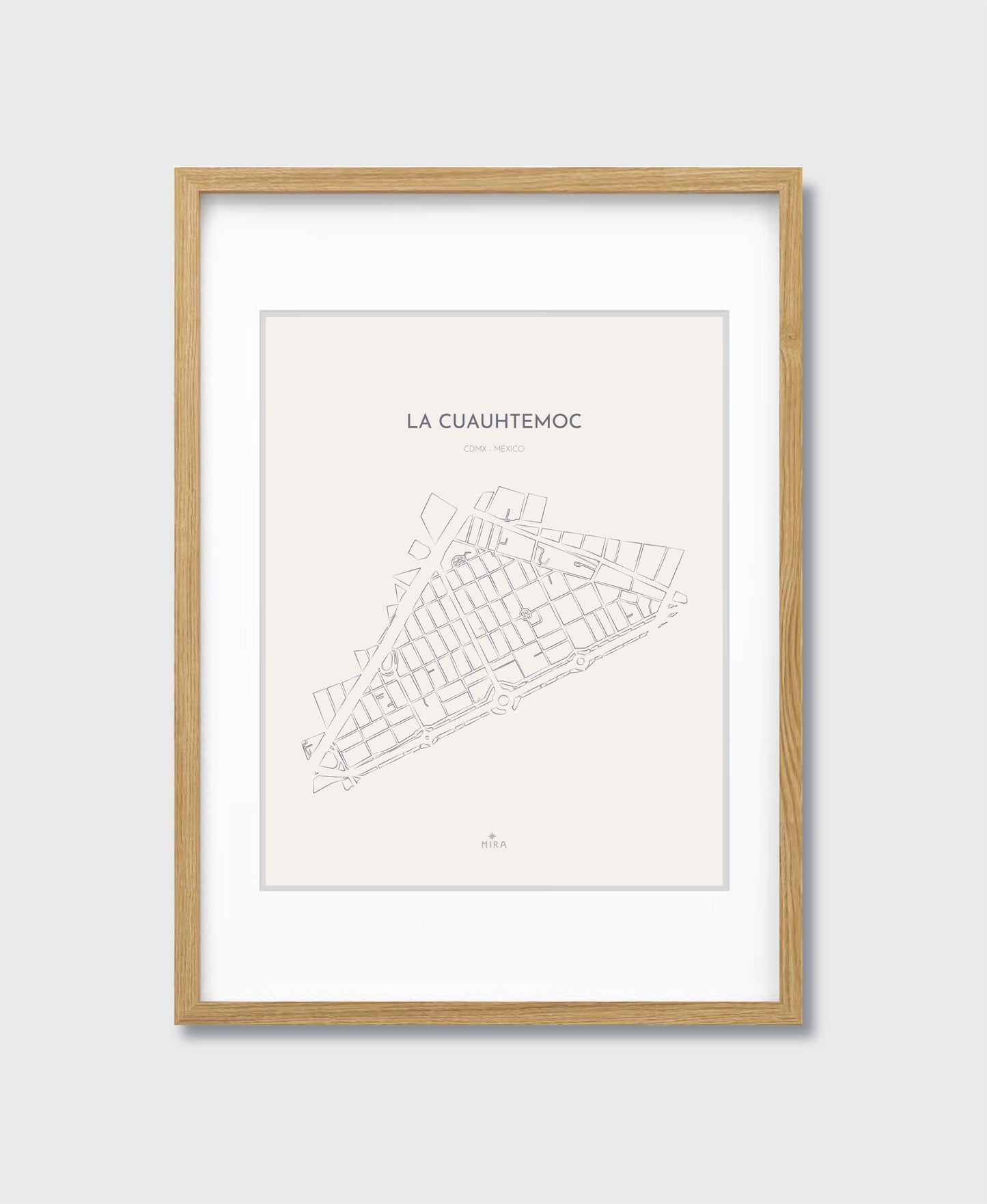 THE MAP - LA CUAUHTEMOC - CDMX - MEXICO