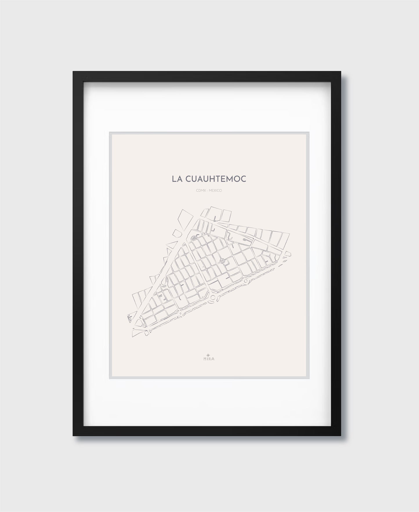 THE MAP - LA CUAUHTEMOC - CDMX - MEXICO