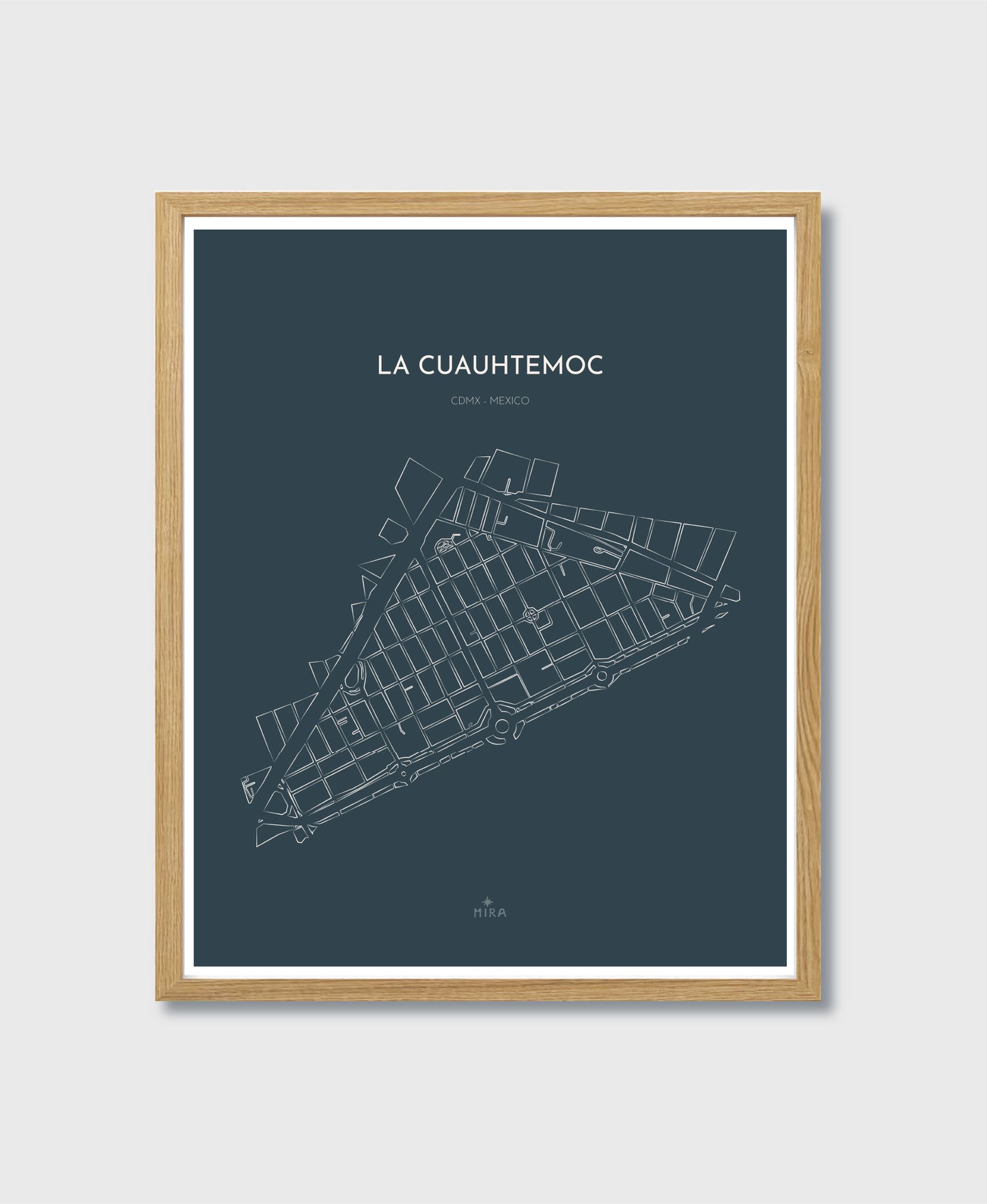 THE MAP - LA CUAUHTEMOC - CDMX - MEXICO