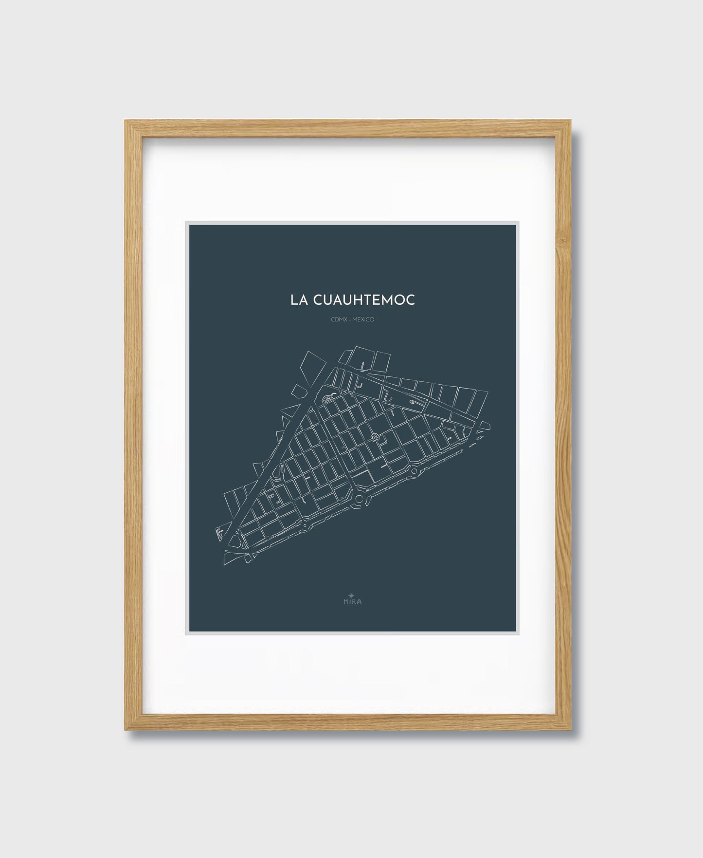 THE MAP - LA CUAUHTEMOC - CDMX - MEXICO