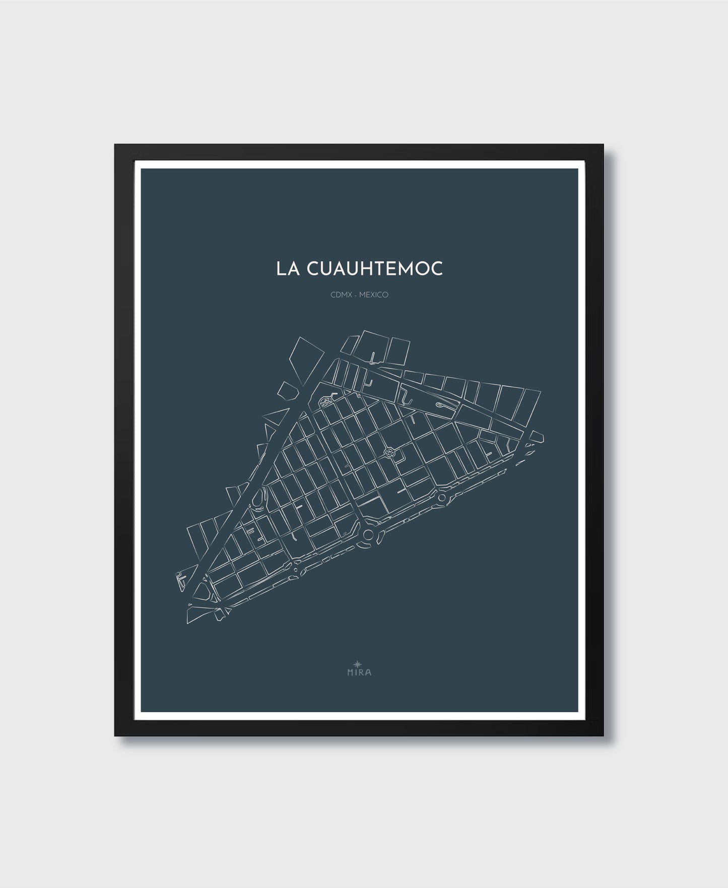 THE MAP - LA CUAUHTEMOC - CDMX - MEXICO