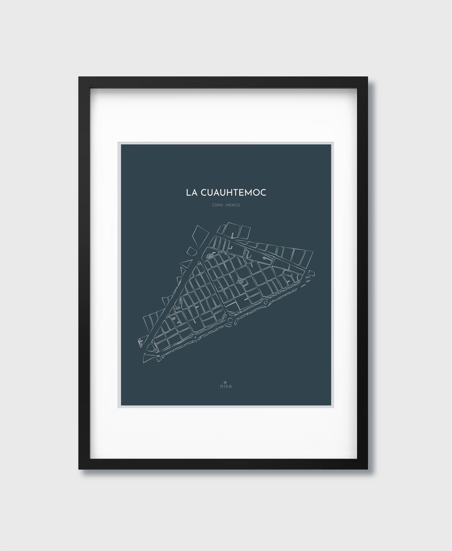 THE MAP - LA CUAUHTEMOC - CDMX - MEXICO