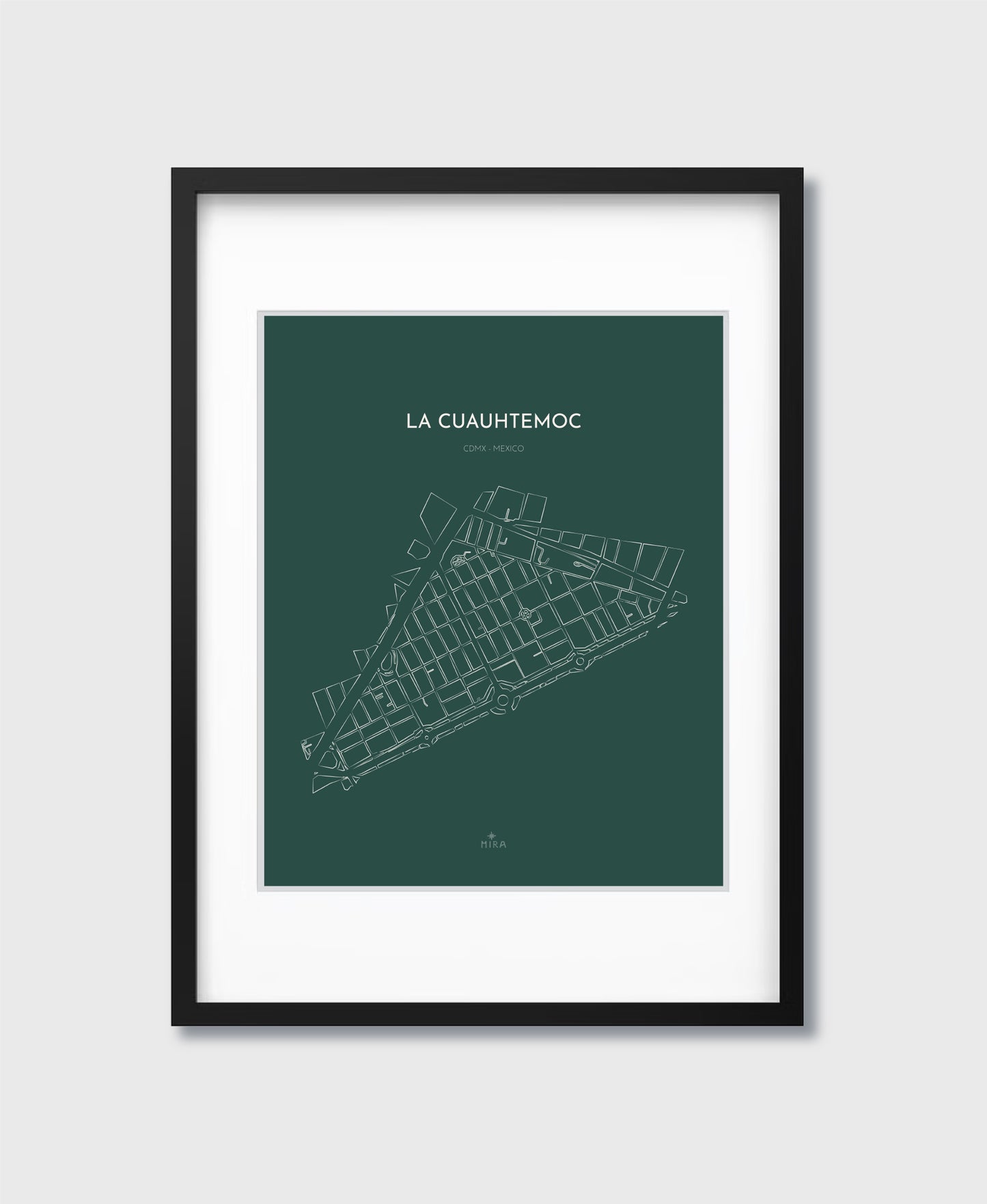 THE MAP - LA CUAUHTEMOC - CDMX - MEXICO