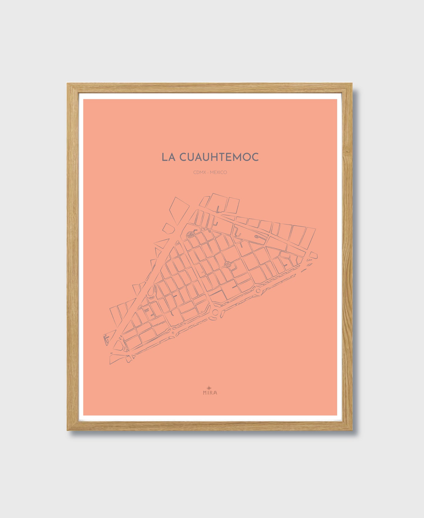 THE MAP - LA CUAUHTEMOC - CDMX - MEXICO