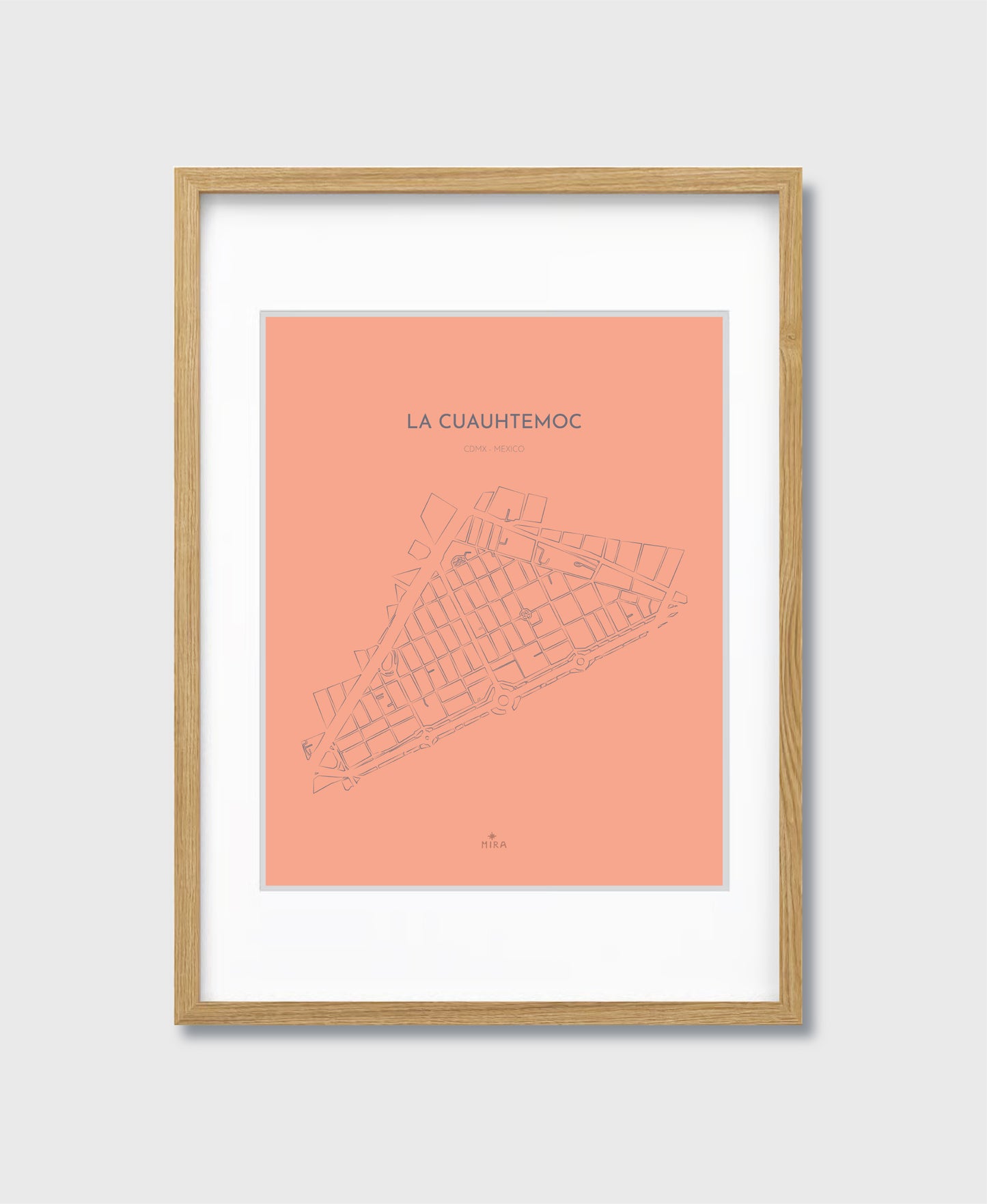 THE MAP - LA CUAUHTEMOC - CDMX - MEXICO
