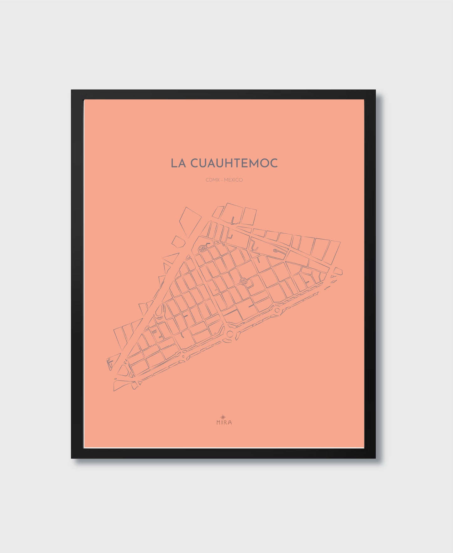 THE MAP - LA CUAUHTEMOC - CDMX - MEXICO