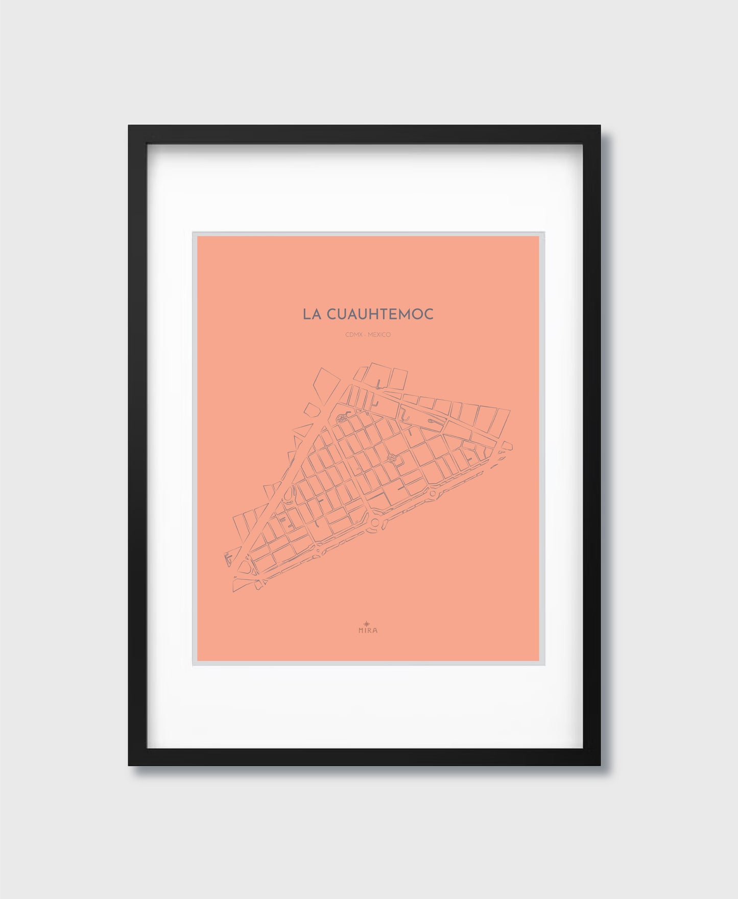 THE MAP - LA CUAUHTEMOC - CDMX - MEXICO
