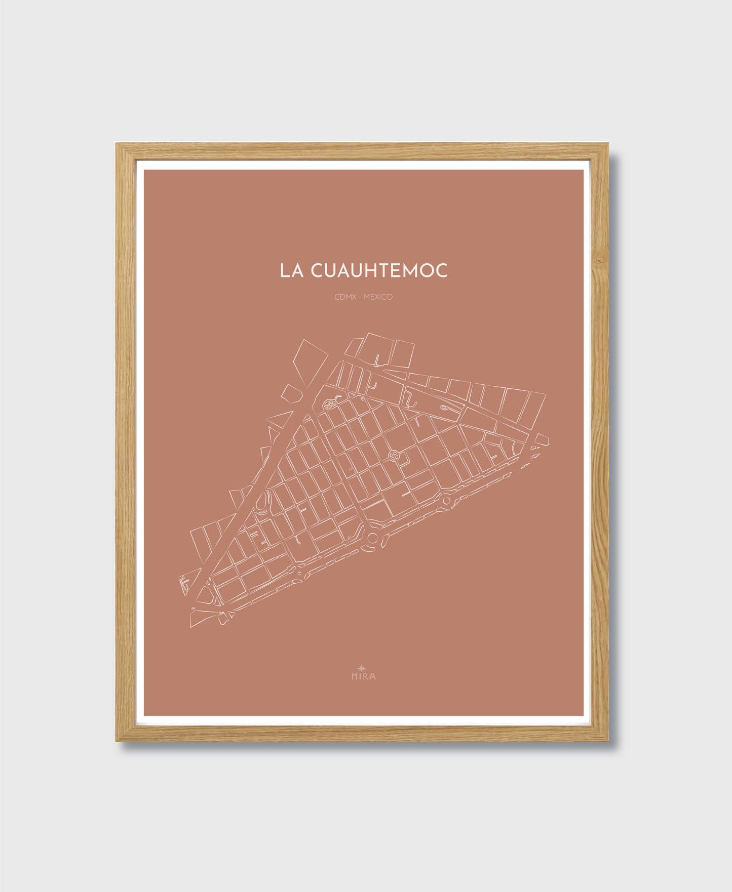 THE MAP - LA CUAUHTEMOC - CDMX - MEXICO