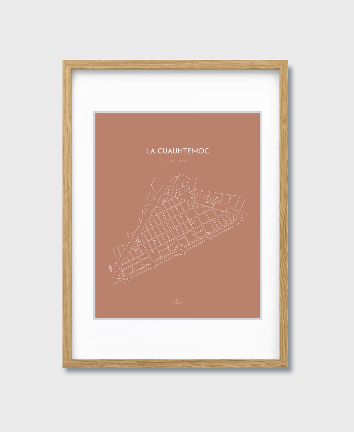 THE MAP - LA CUAUHTEMOC - CDMX - MEXICO