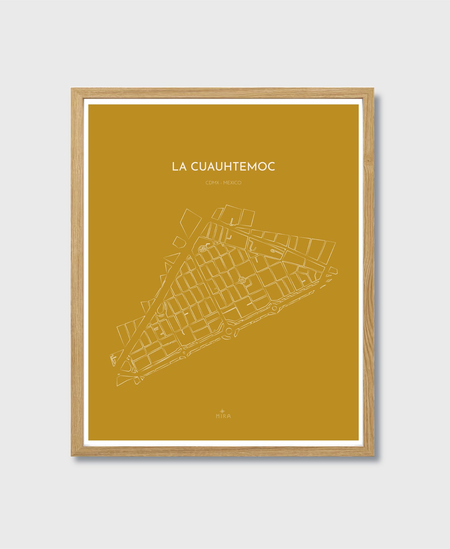THE MAP - LA CUAUHTEMOC - CDMX - MEXICO