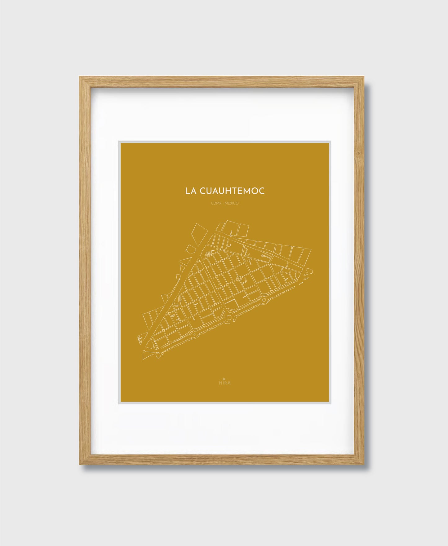 THE MAP - LA CUAUHTEMOC - CDMX - MEXICO