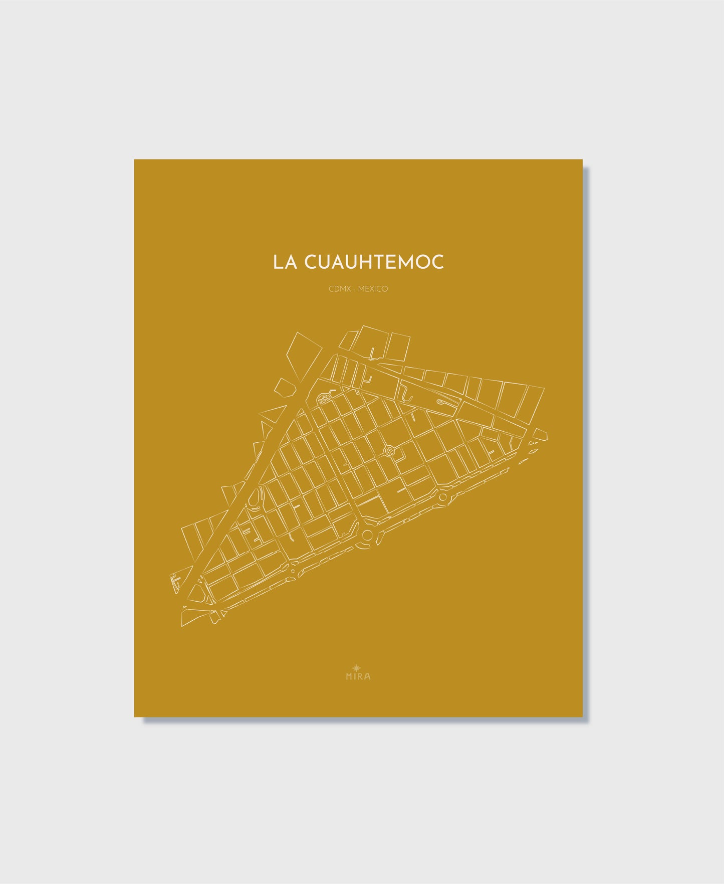 THE MAP - LA CUAUHTEMOC - CDMX - MEXICO