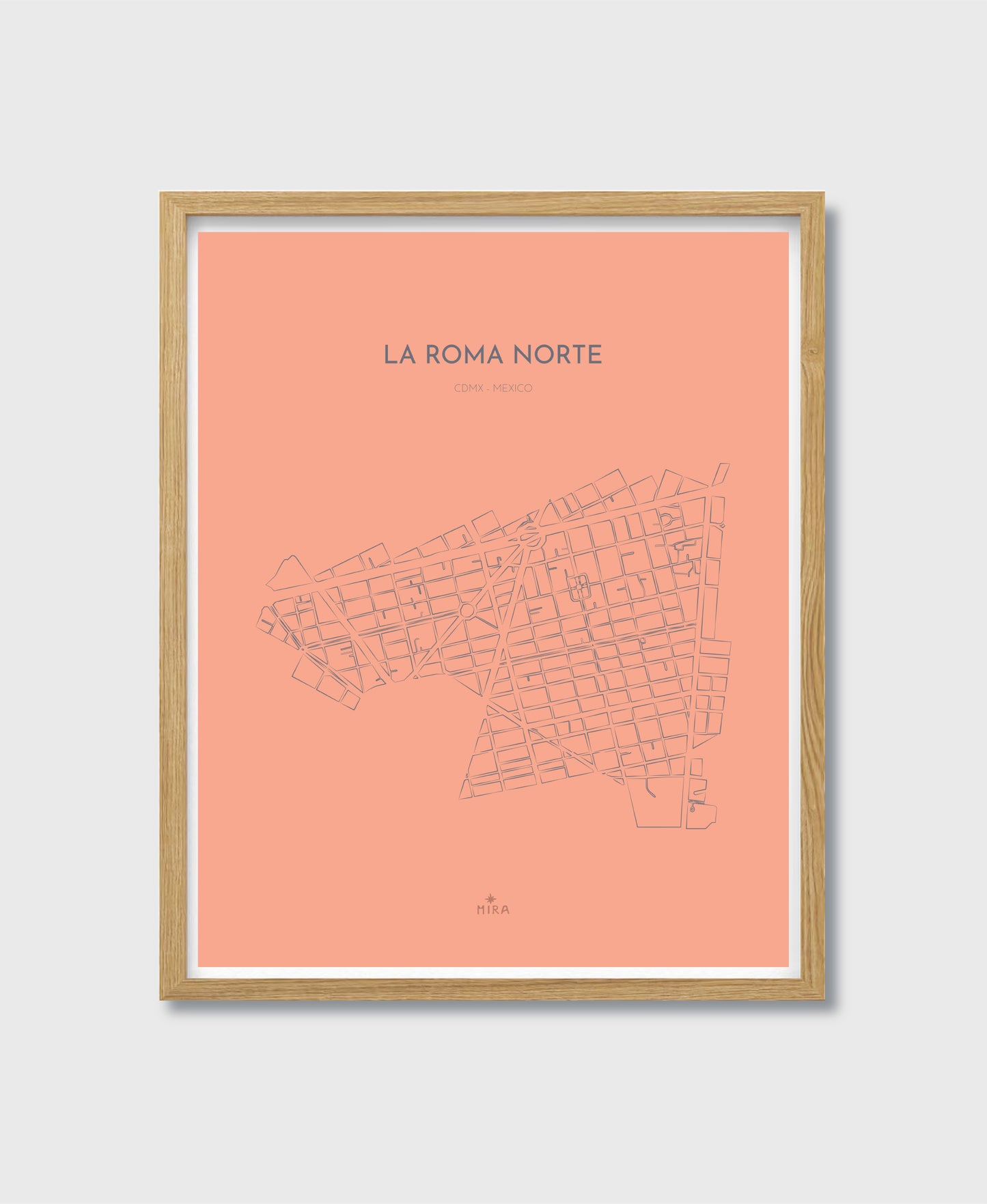 THE MAP - LA ROMA NORTE - CDMX - MEXICO