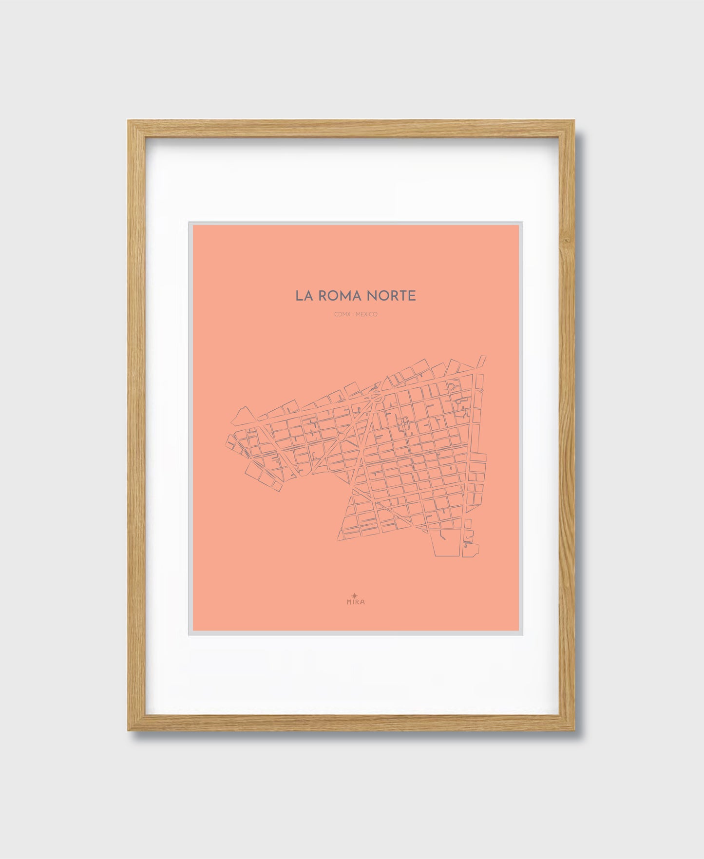 THE MAP - LA ROMA NORTE - CDMX - MEXICO