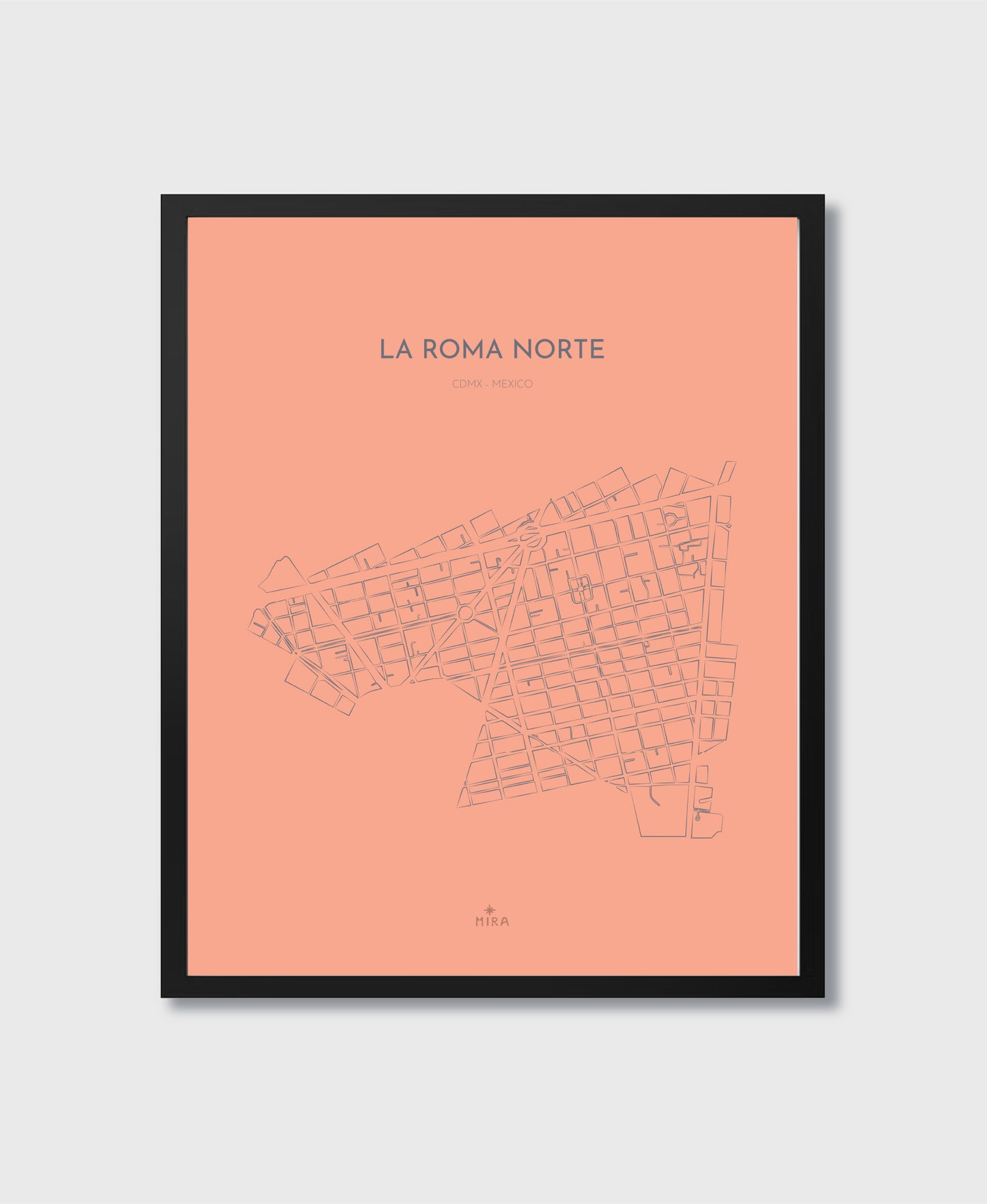 THE MAP - LA ROMA NORTE - CDMX - MEXICO