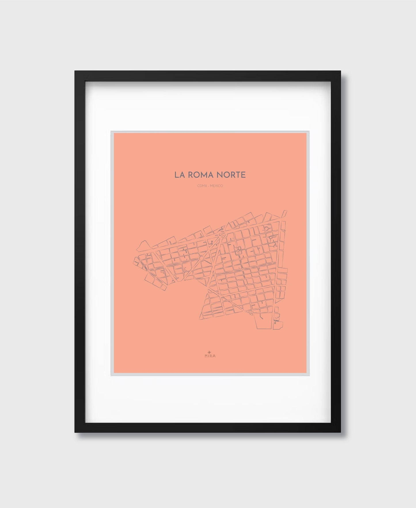 THE MAP - LA ROMA NORTE - CDMX - MEXICO