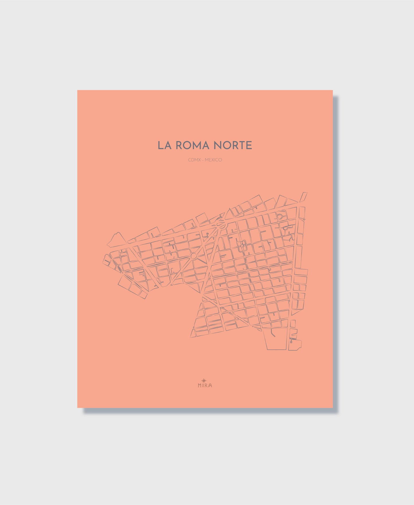 THE MAP - LA ROMA NORTE - CDMX - MEXICO