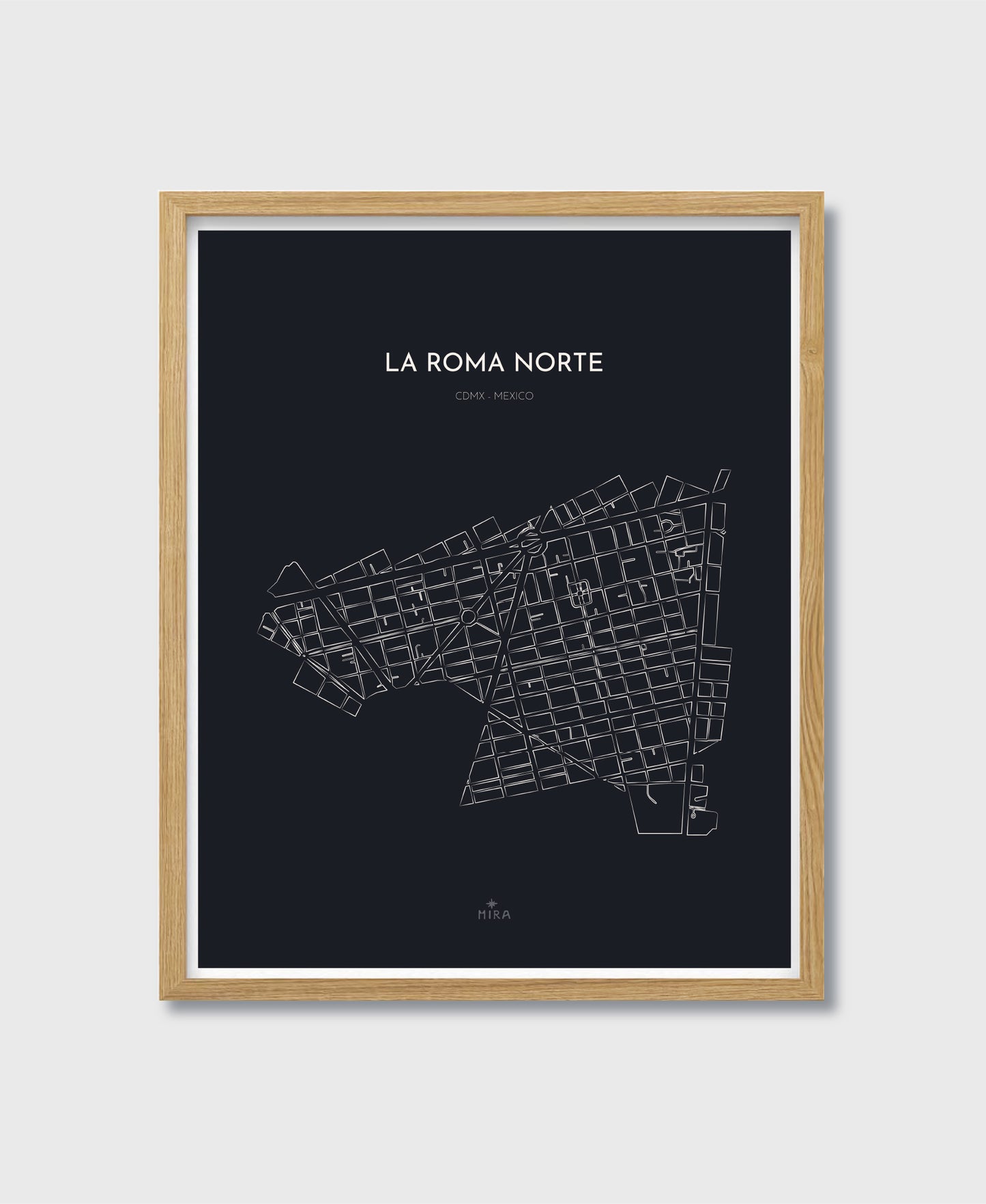 THE MAP - LA ROMA NORTE - CDMX - MEXICO