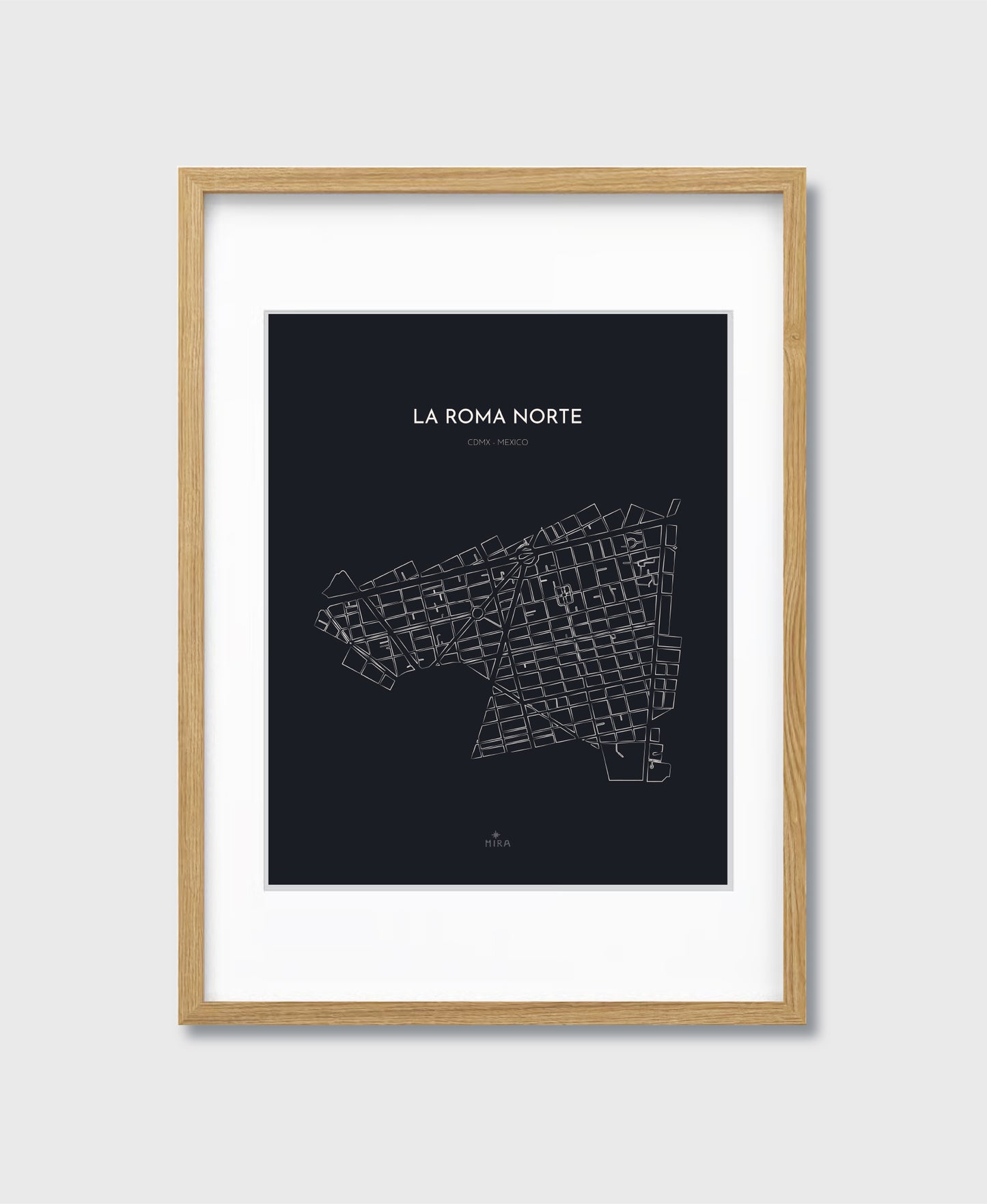 THE MAP - LA ROMA NORTE - CDMX - MEXICO