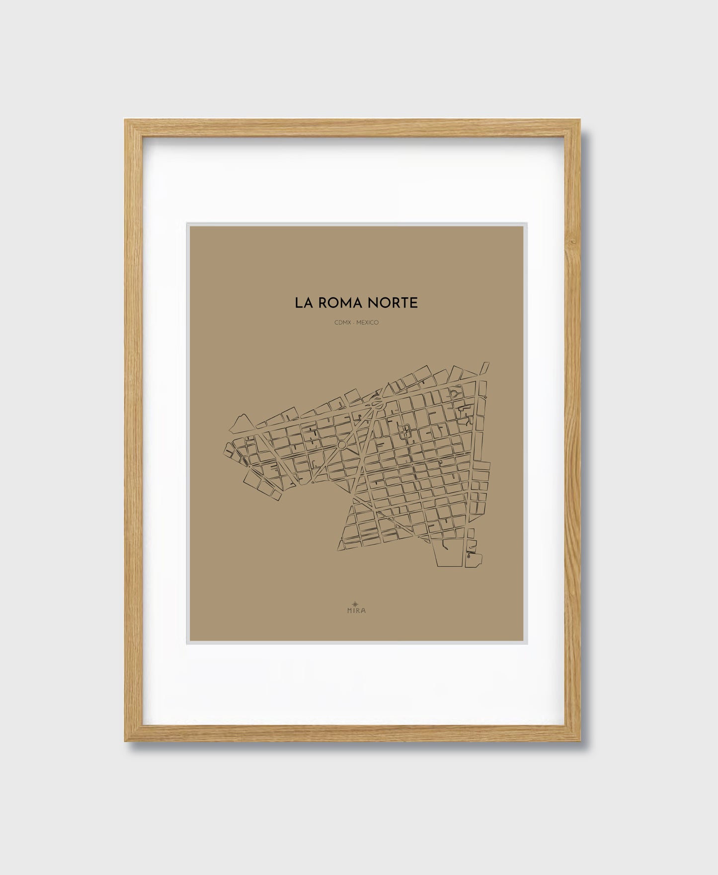THE MAP - LA ROMA NORTE - CDMX - MEXICO