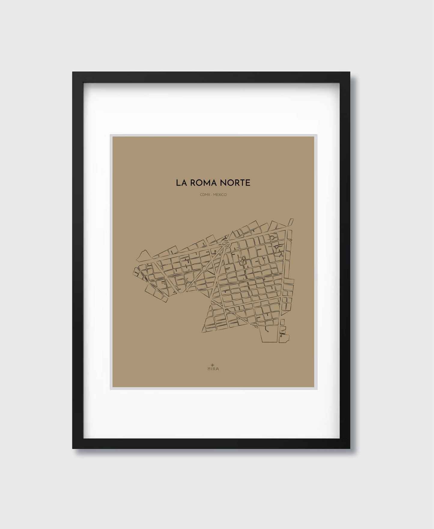 THE MAP - LA ROMA NORTE - CDMX - MEXICO