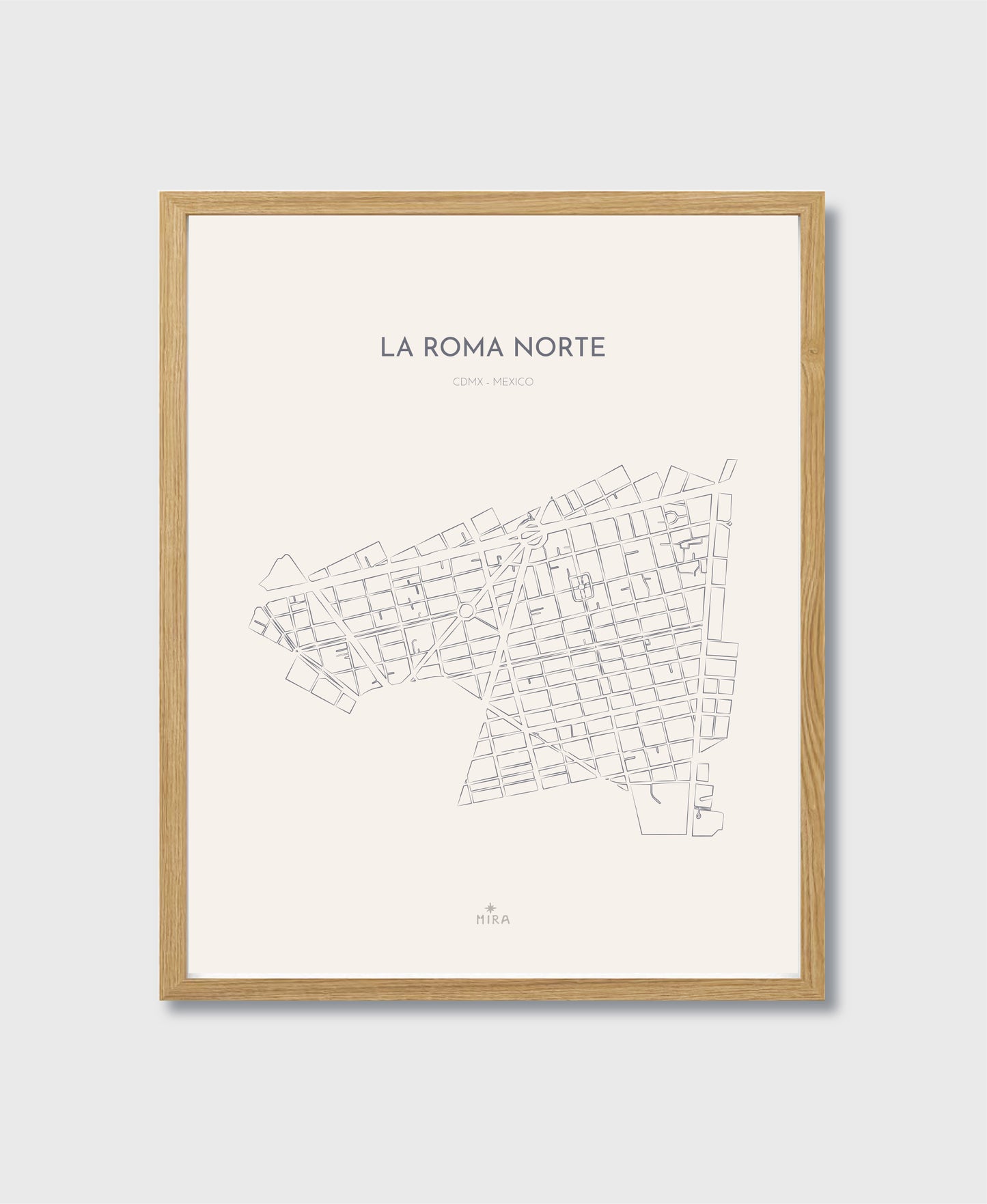 THE MAP - LA ROMA NORTE - CDMX - MEXICO