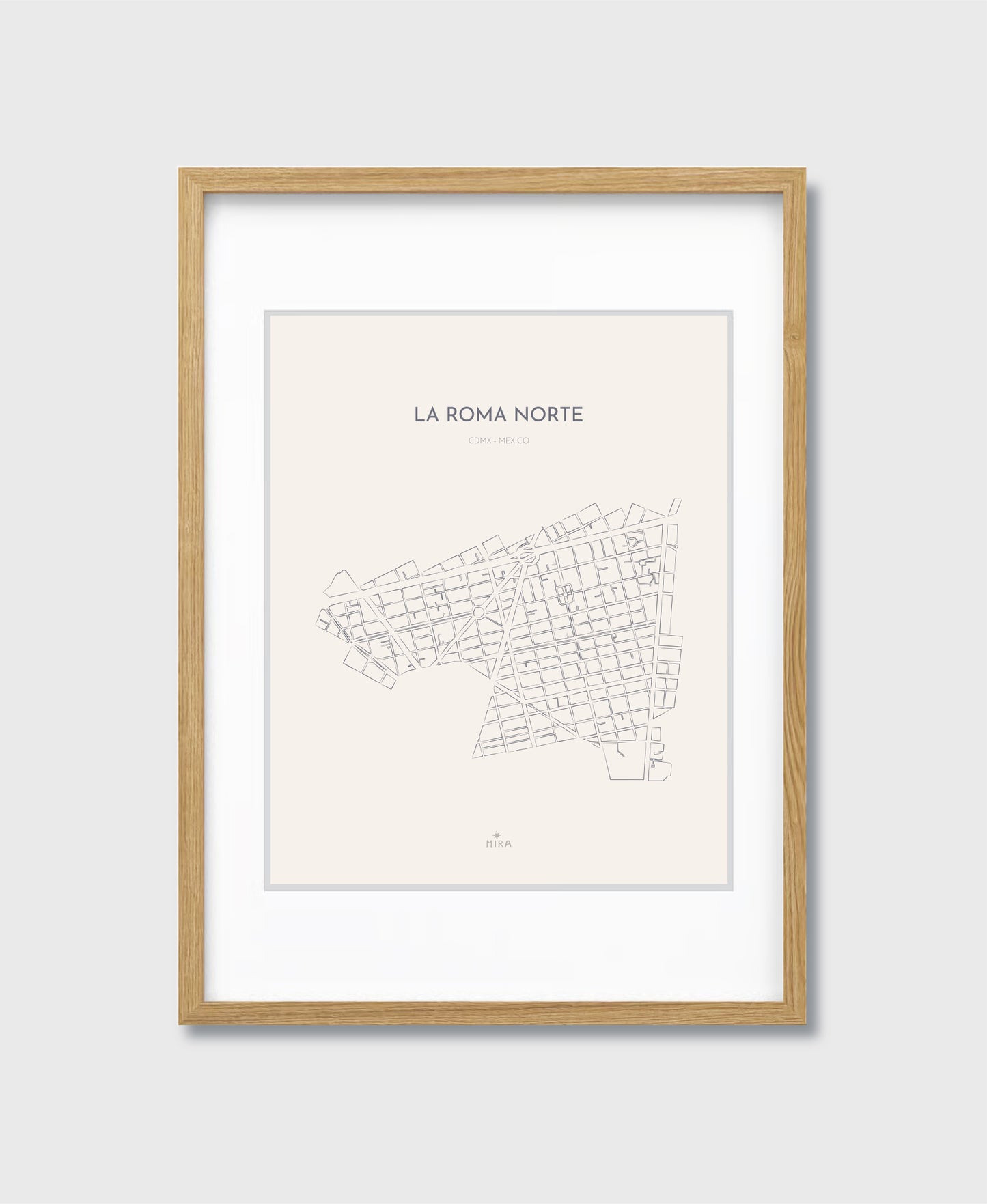 THE MAP - LA ROMA NORTE - CDMX - MEXICO