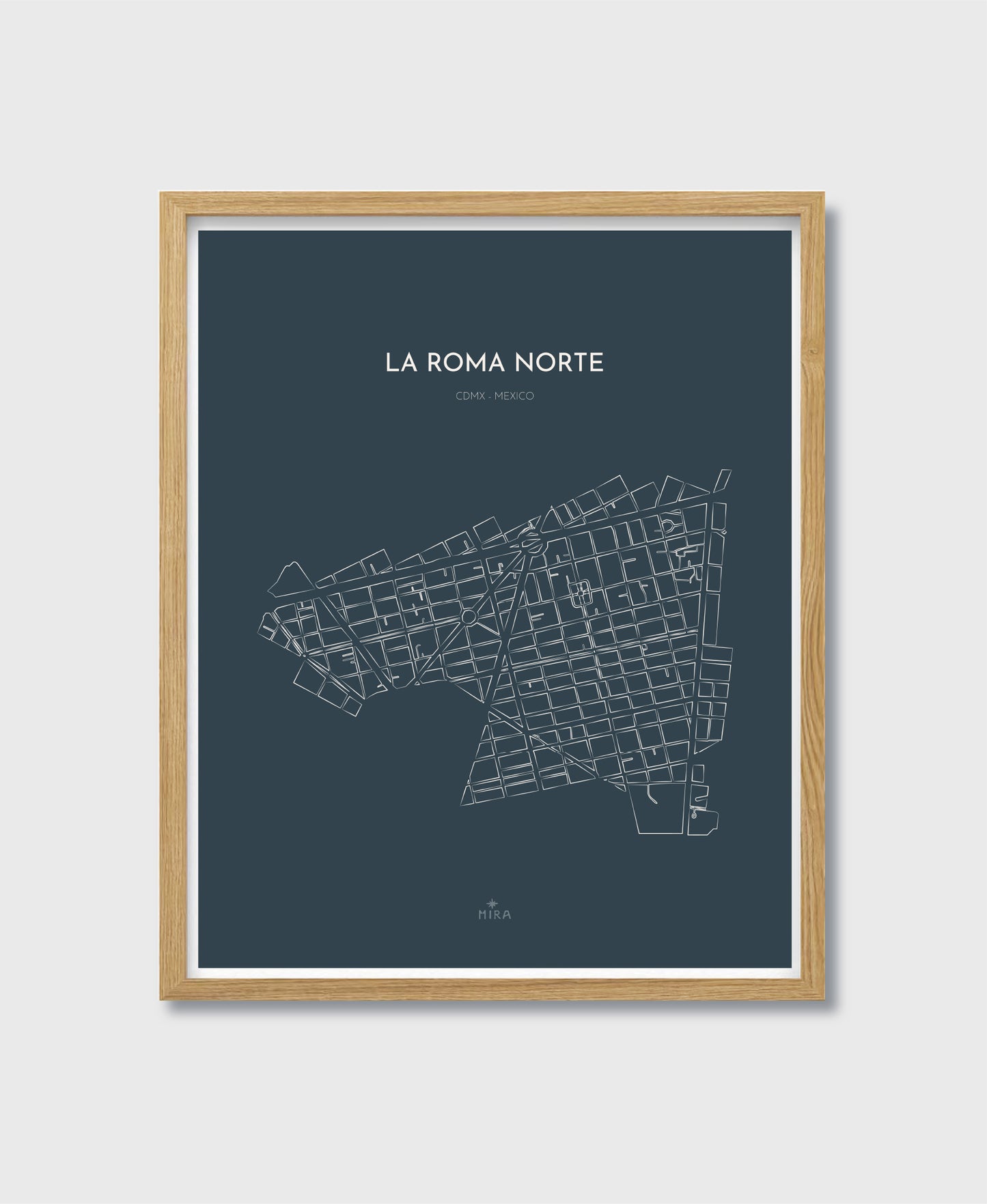 THE MAP - LA ROMA NORTE - CDMX - MEXICO