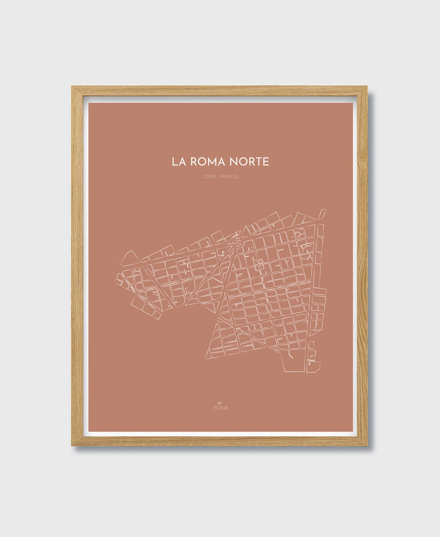 THE MAP - LA ROMA NORTE - CDMX - MEXICO