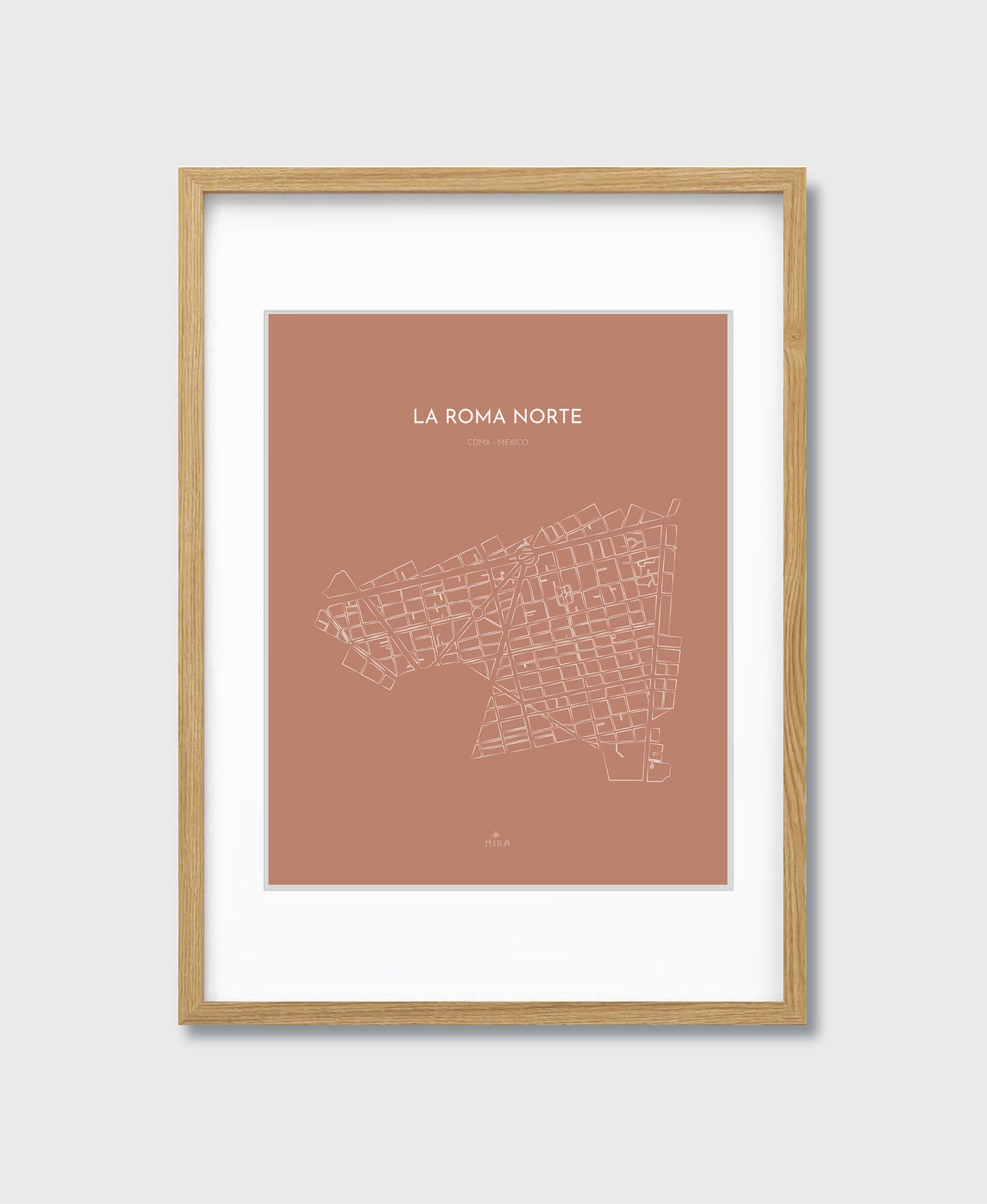 THE MAP - LA ROMA NORTE - CDMX - MEXICO