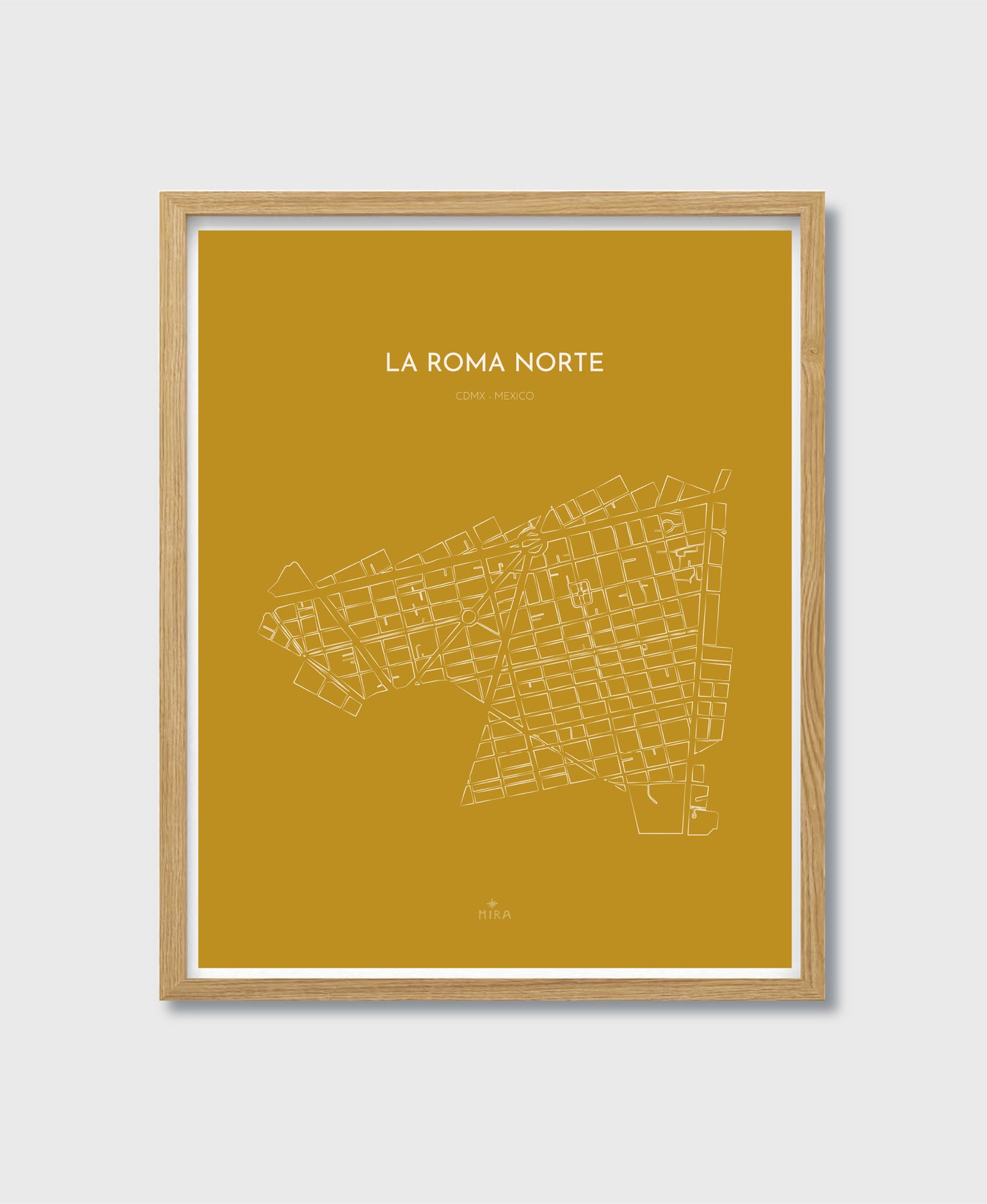 THE MAP - LA ROMA NORTE - CDMX - MEXICO