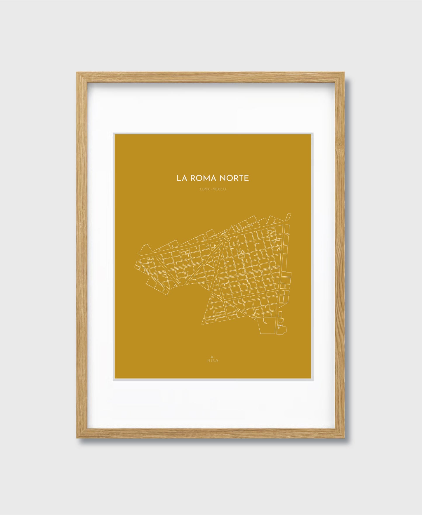 THE MAP - LA ROMA NORTE - CDMX - MEXICO