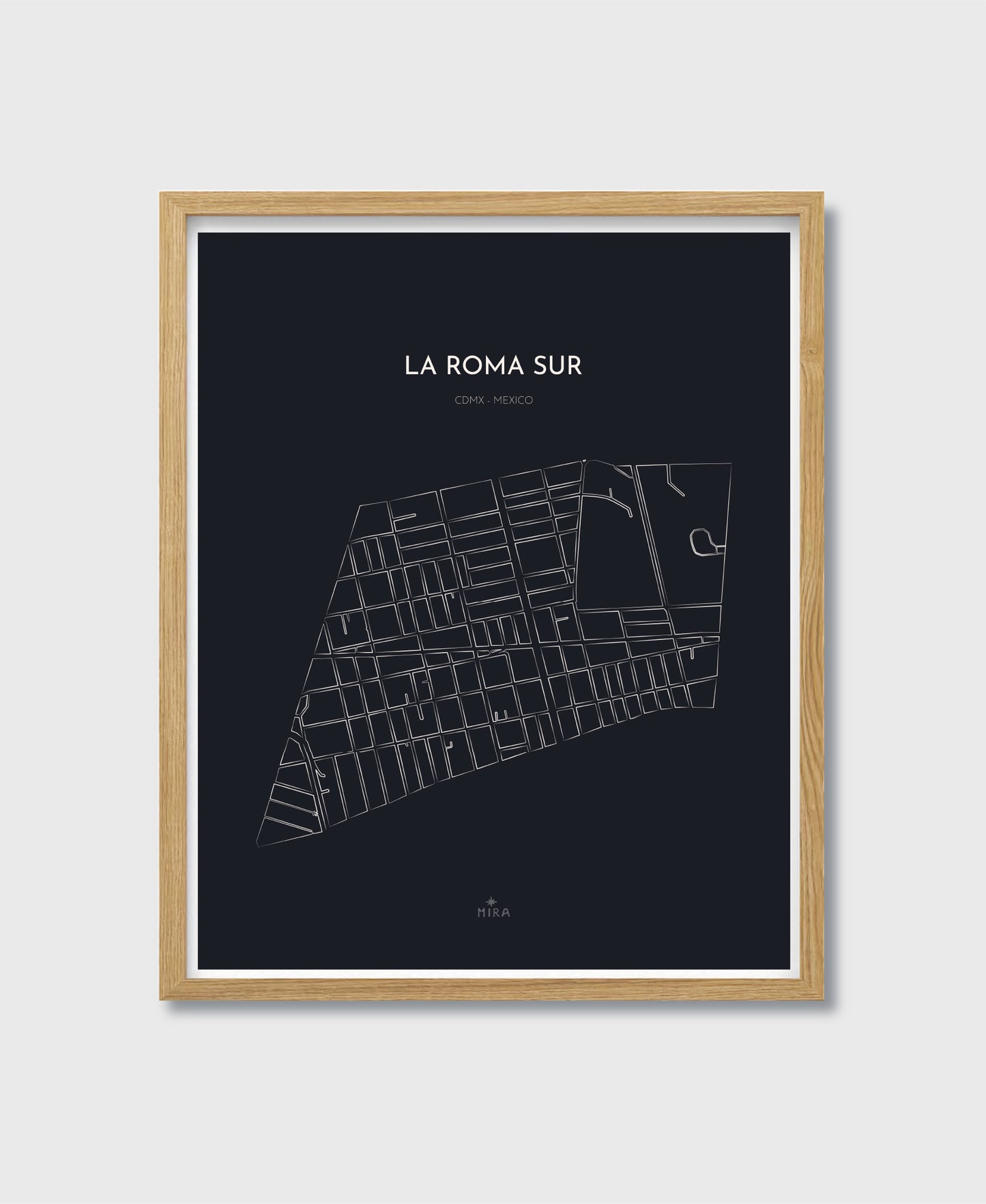 THE MAP - LA ROMA SUR - CDMX - MEXICO