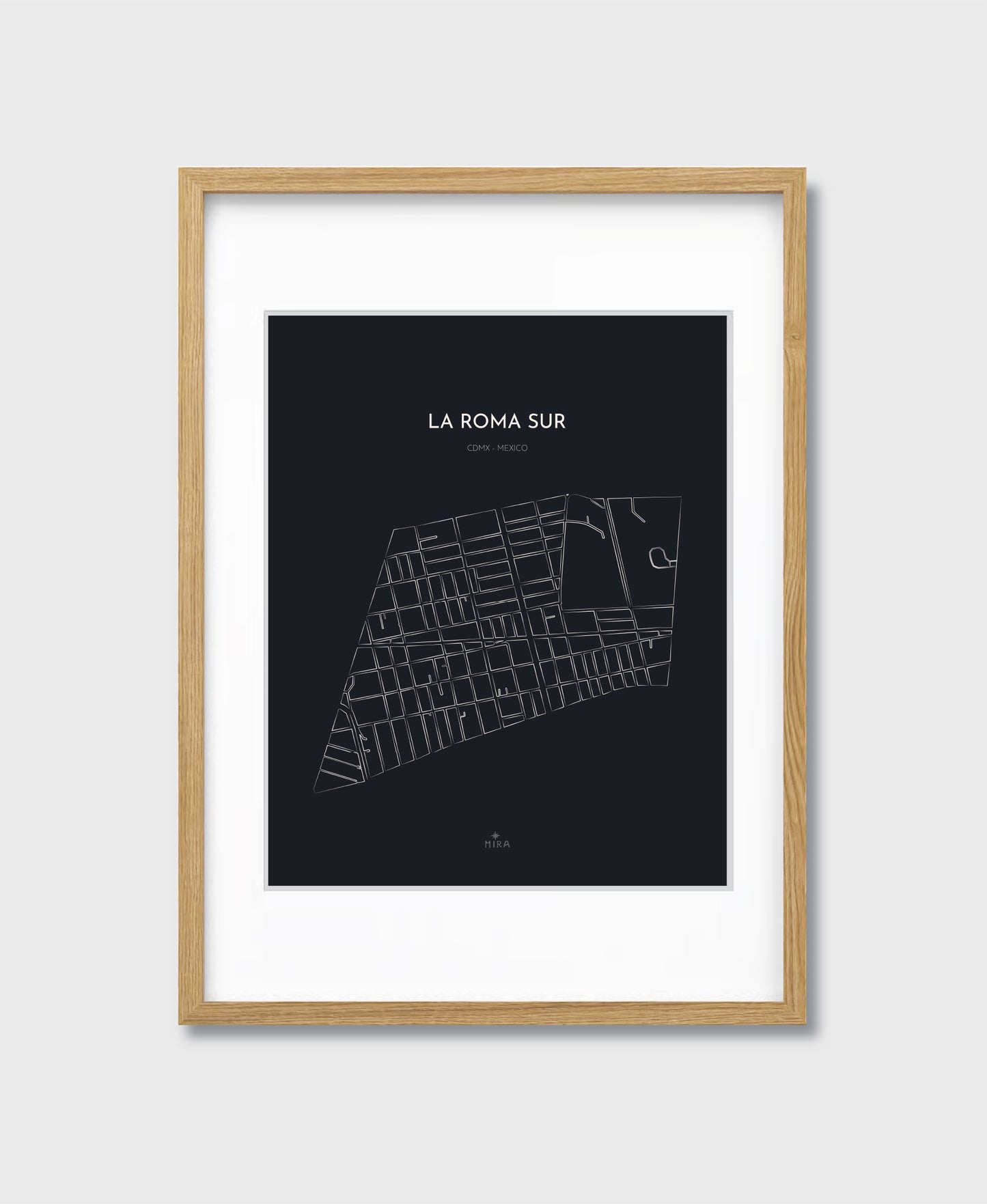THE MAP - LA ROMA SUR - CDMX - MEXICO