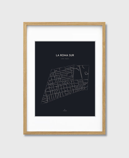 THE MAP - LA ROMA SUR - CDMX - MEXICO