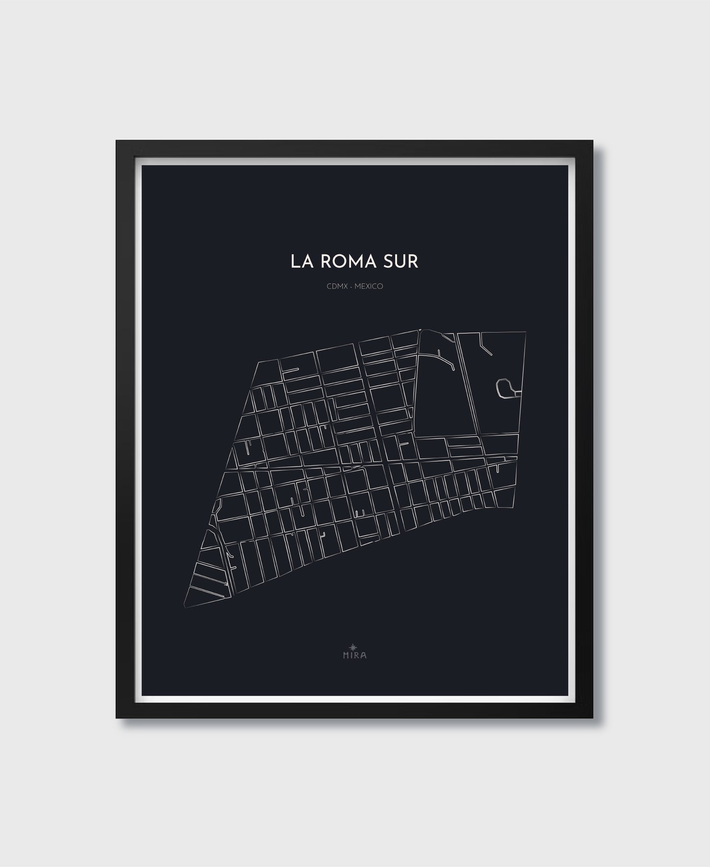 THE MAP - LA ROMA SUR - CDMX - MEXICO