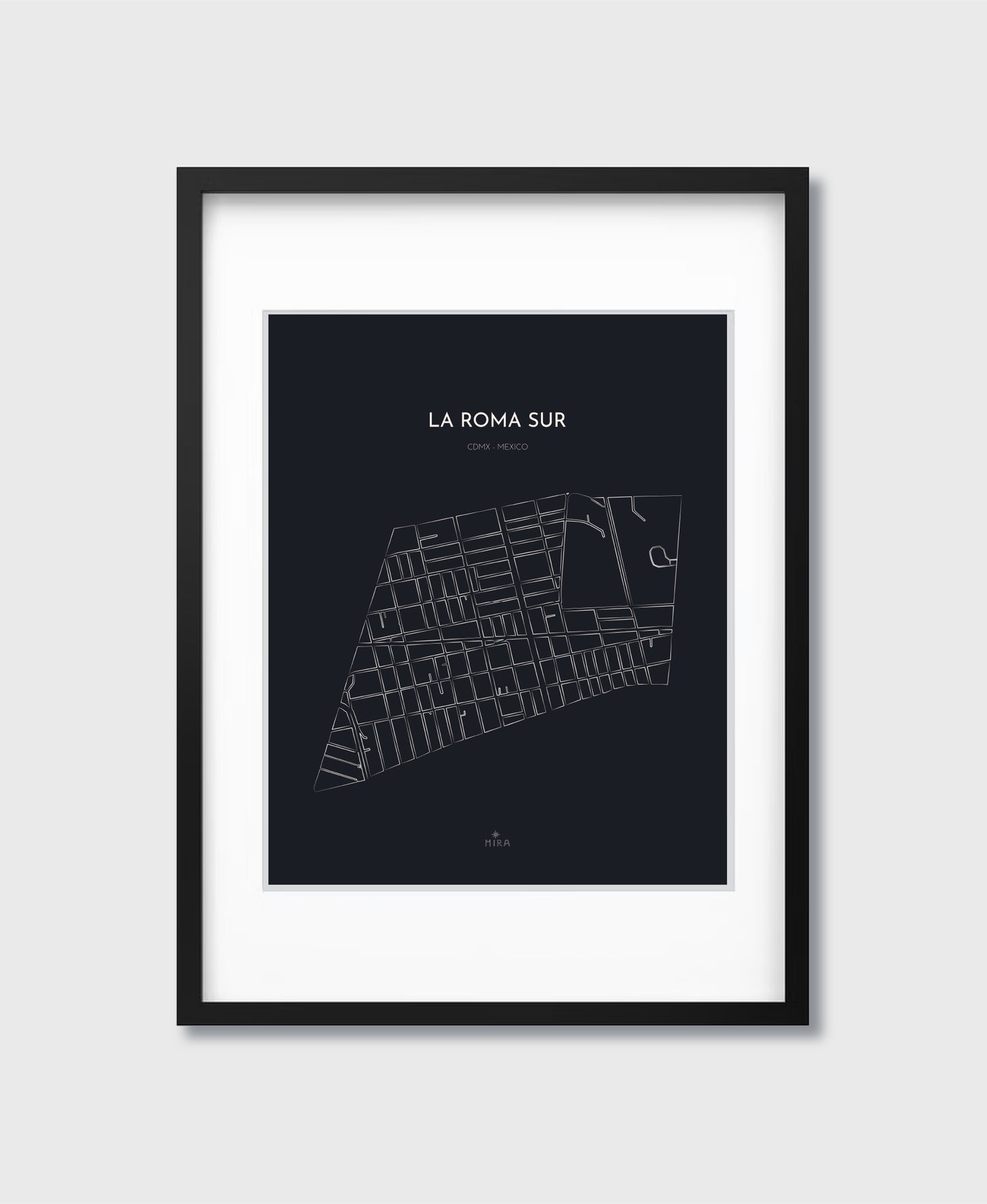 THE MAP - LA ROMA SUR - CDMX - MEXICO